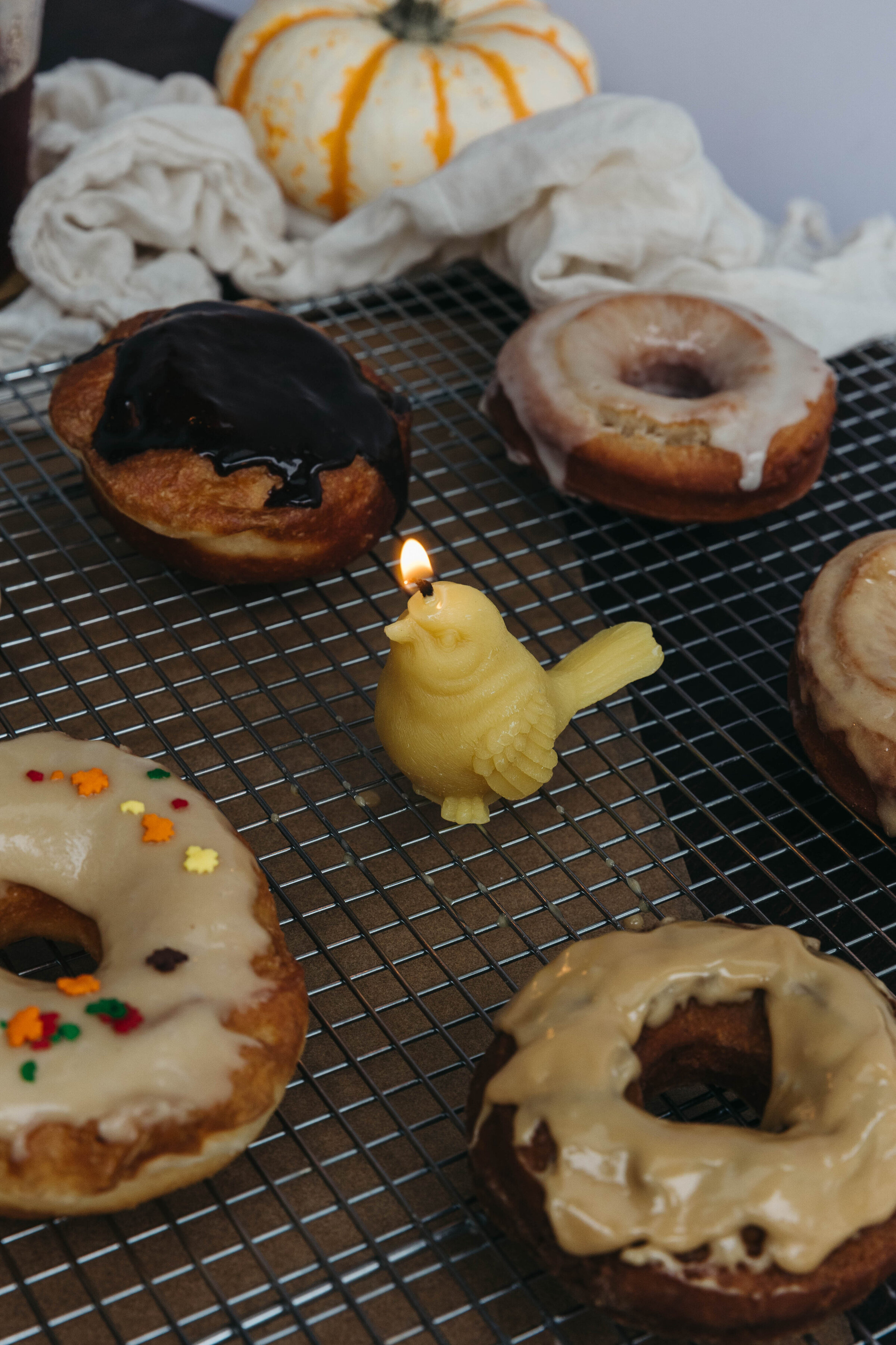 SleepingBirdDoughnuts24-18
