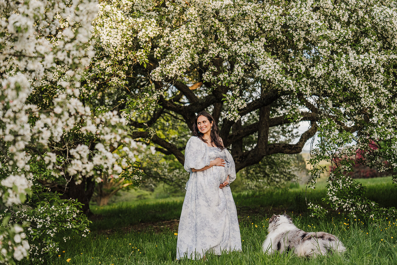 woman stands under blooming tree with dog for maternity photos