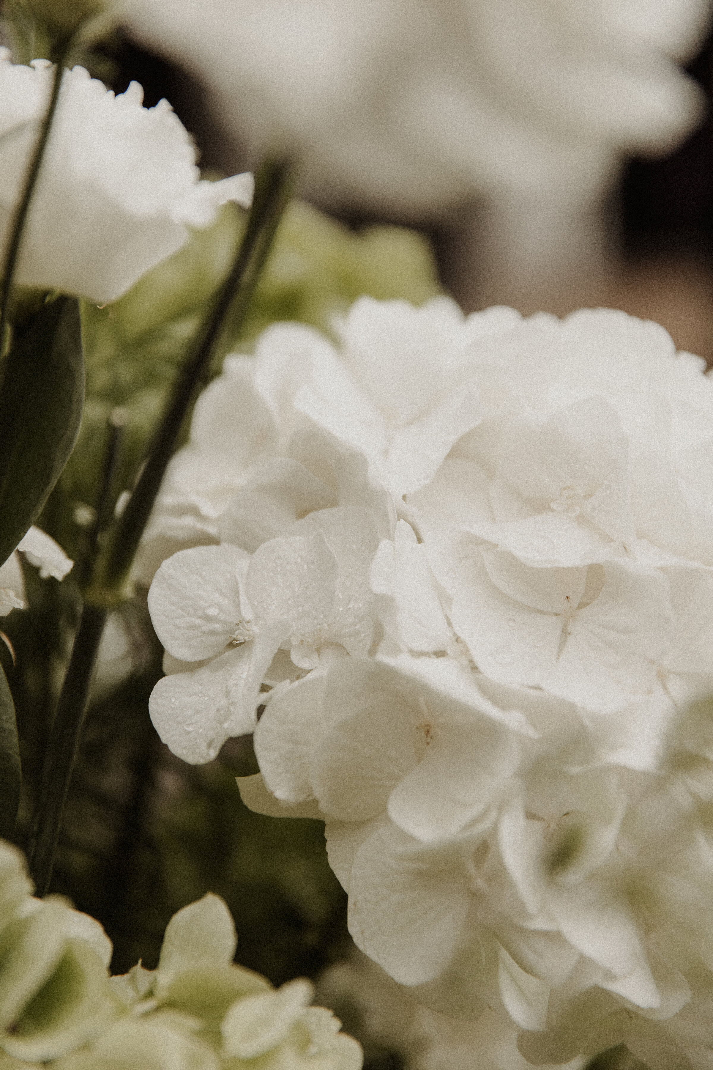 Melanie Huibers photography -457