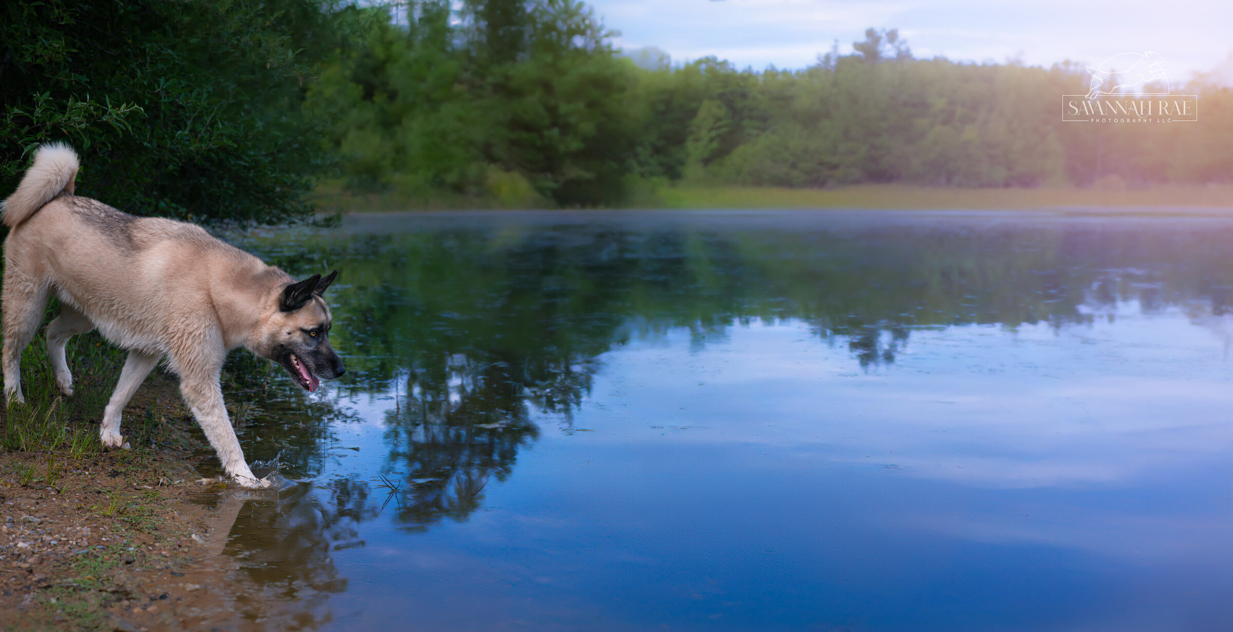 Reflections At Dusk-2