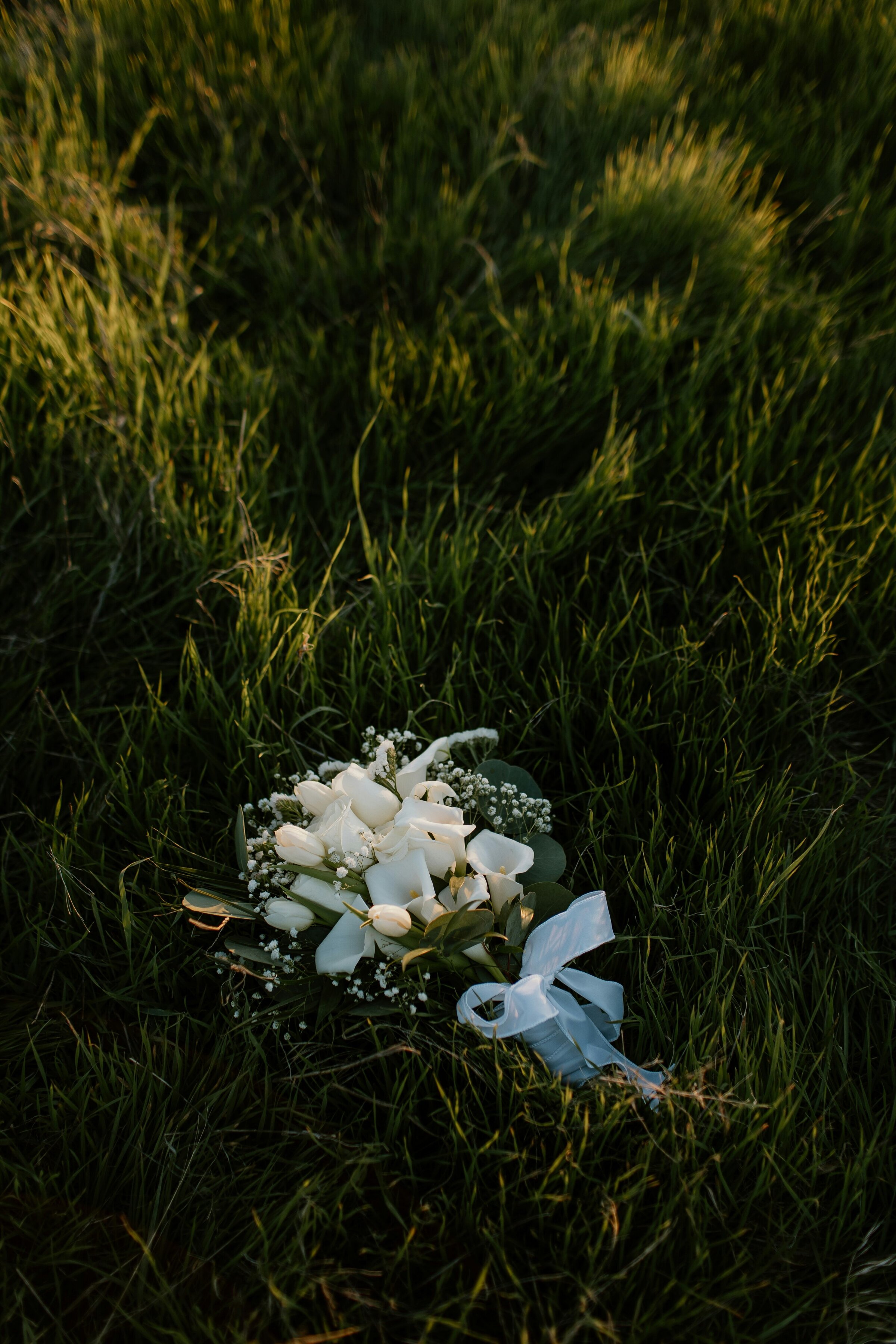 stephanie-hernandez-VuVfmE-s2Ys-unsplash