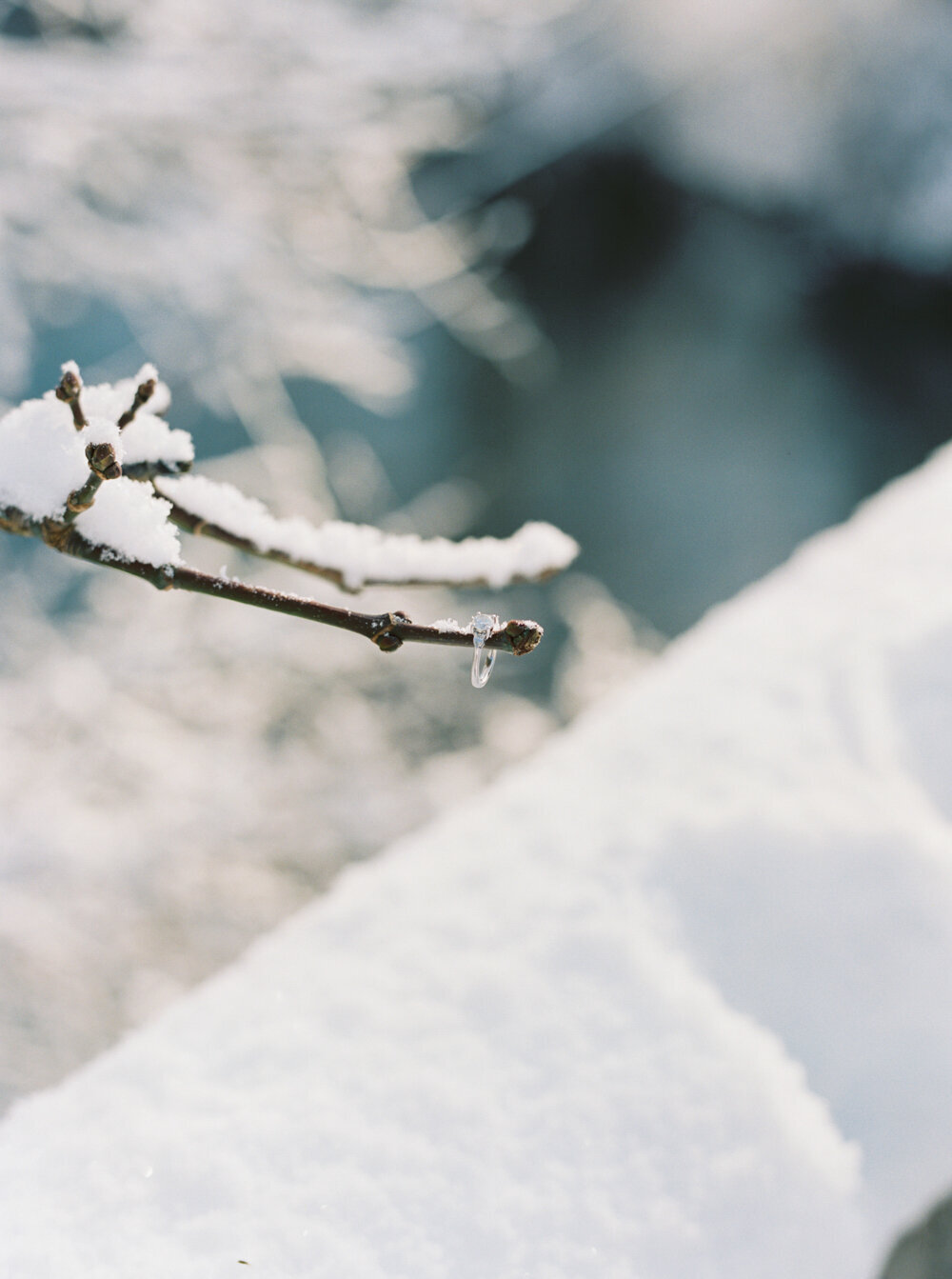 macro shot of diamond engagement ring on a branch in the snow