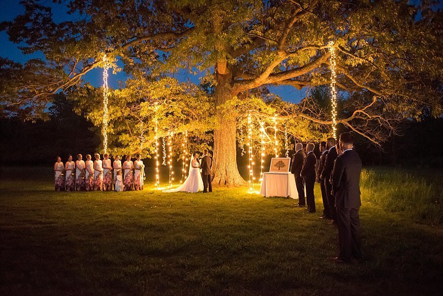 Night ceremony under a historic tree with lights hanging down
