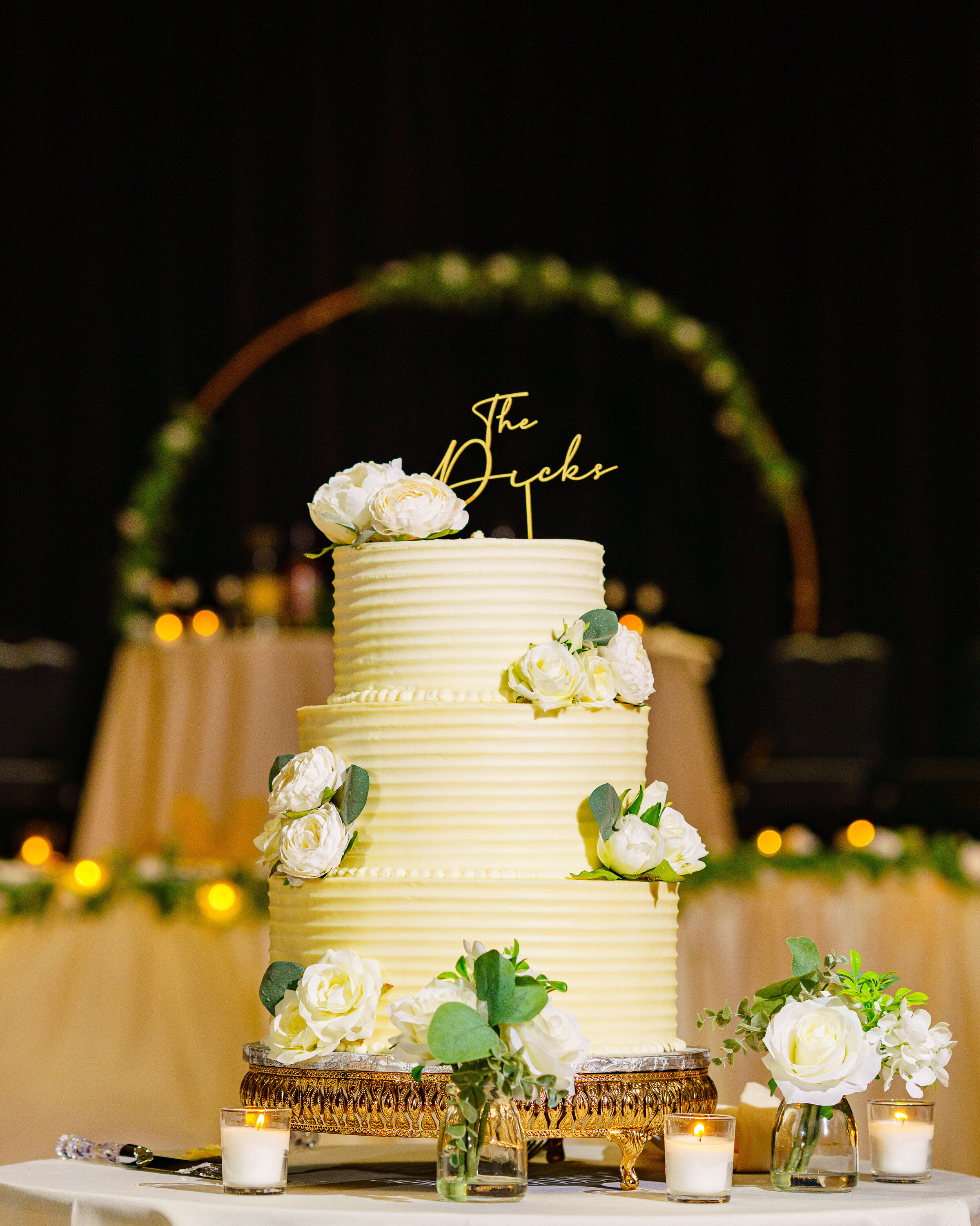 Phonando Studios Chicago Wedding Photographer - Ruth Matt DSC06015