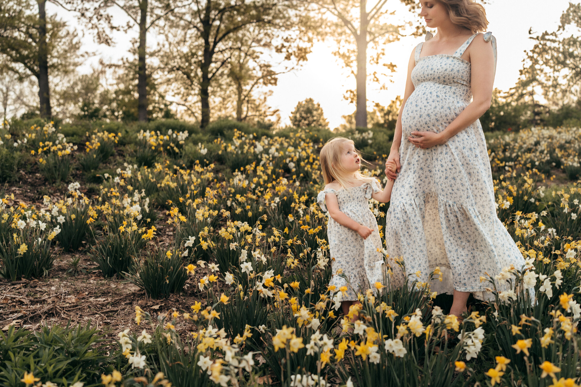 maternity-st-Louis-photography-1