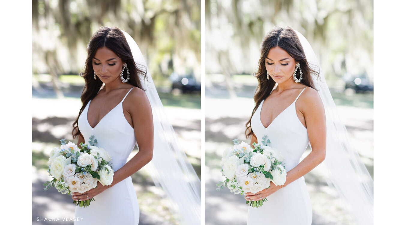 Shauna Veasey hybrid film photography editing presets
