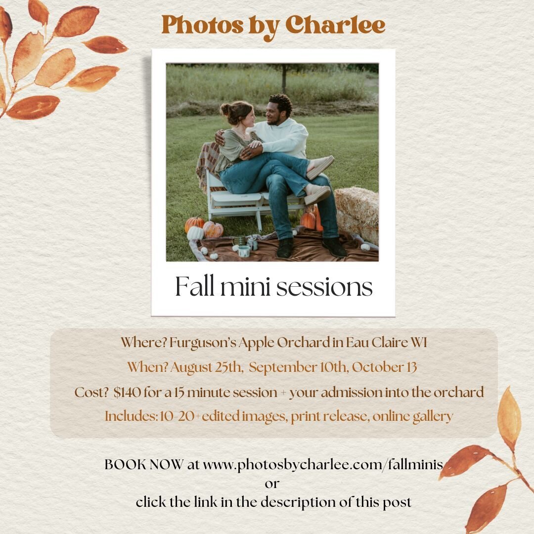 Fall Minis Polaroid Photo Instagram Post (2)