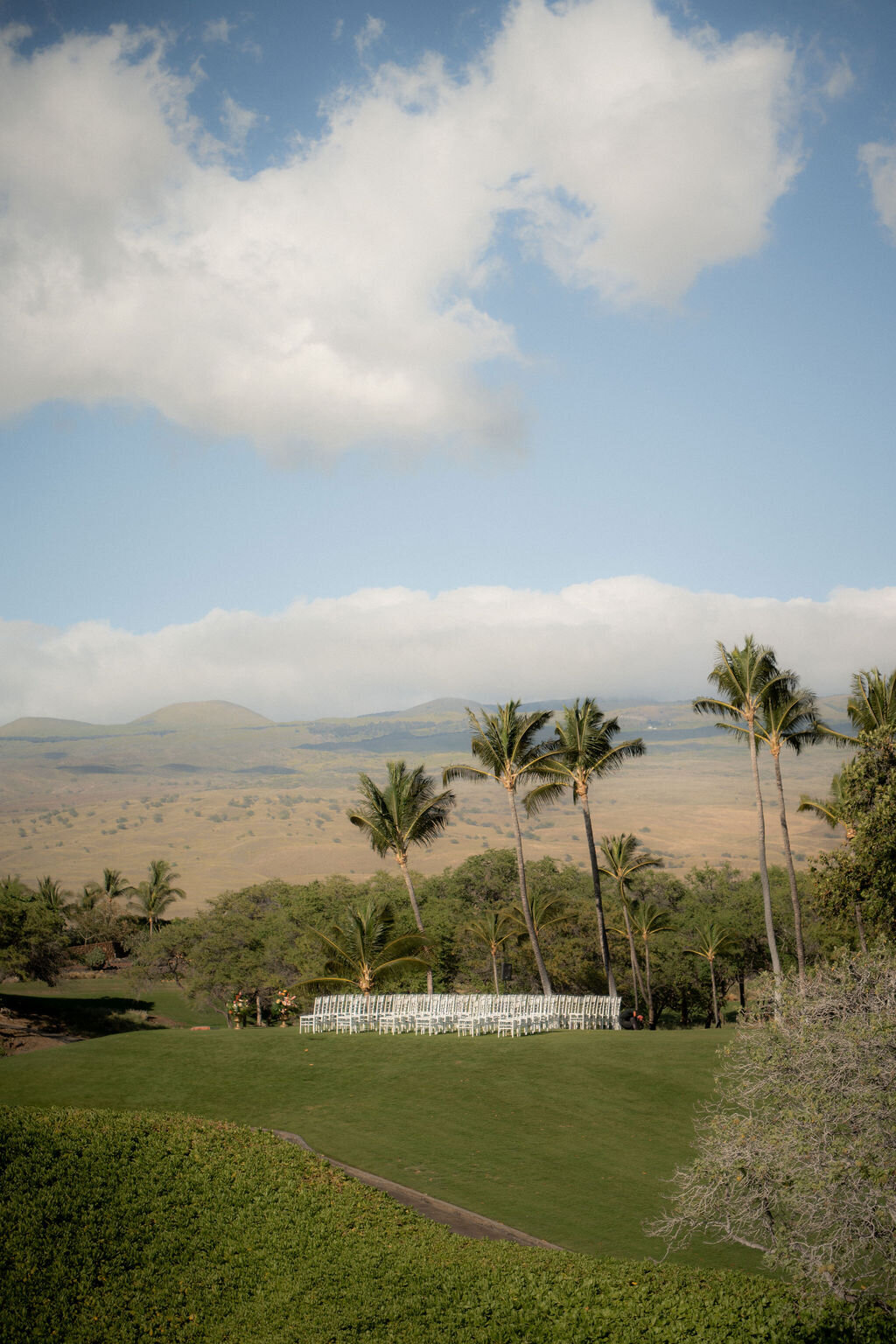 Gallery(122of131)