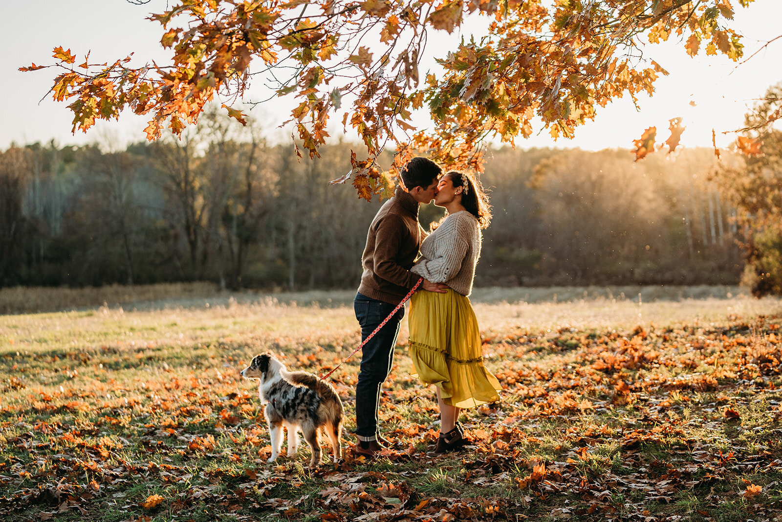 pregnant couple kiss under foliage with dog