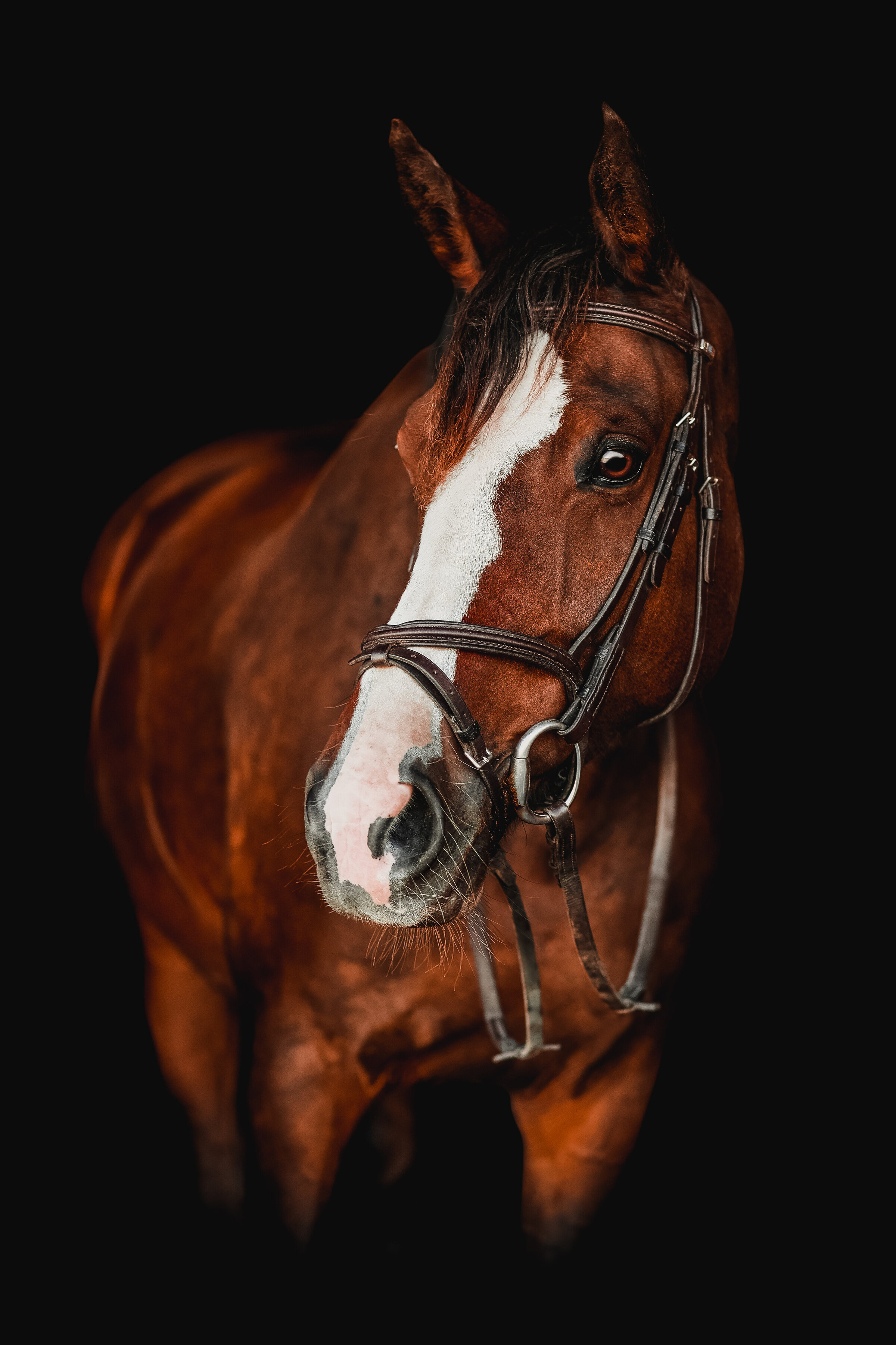 Kuor-14-Lorenza