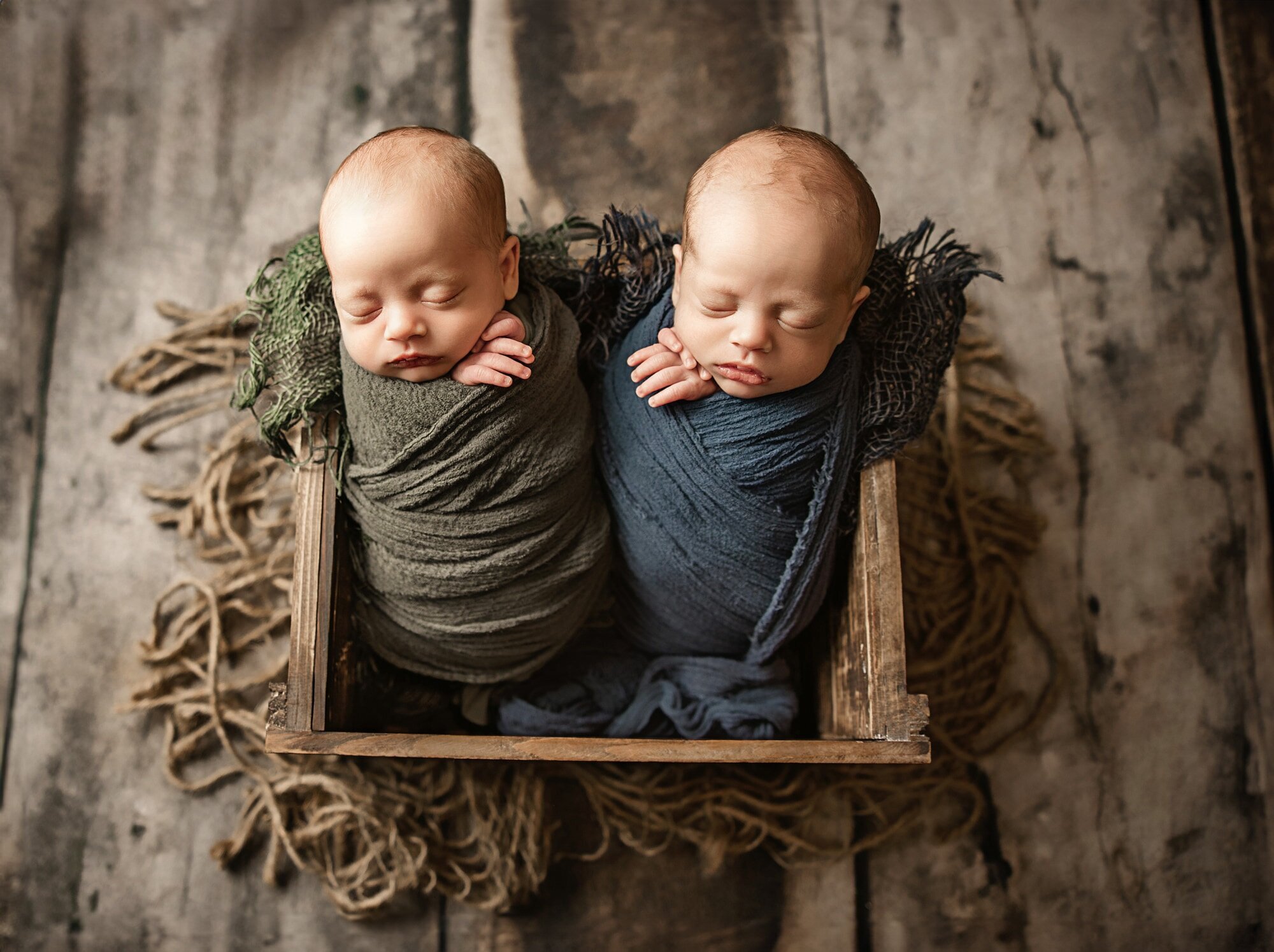 twin photos near sacramento