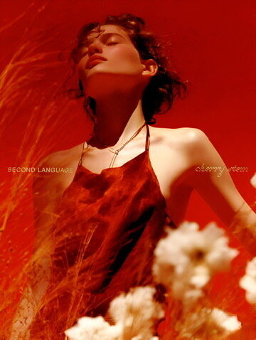 03FEFB00-2BE3-4B92-920A-42BDB4DD7173_4_5005_c