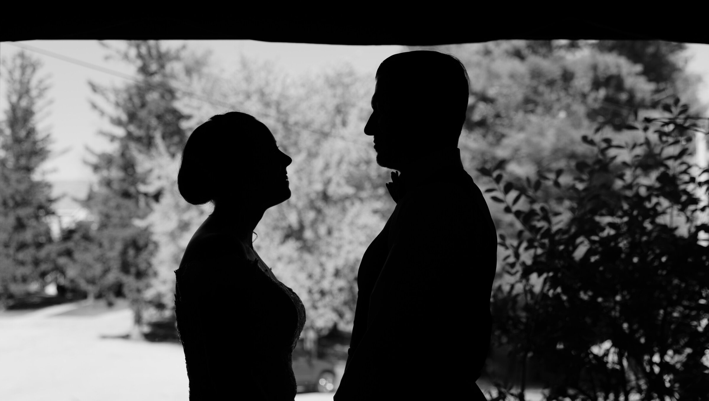 Phonando Studios Chicago Wedding Photographer DSC09765