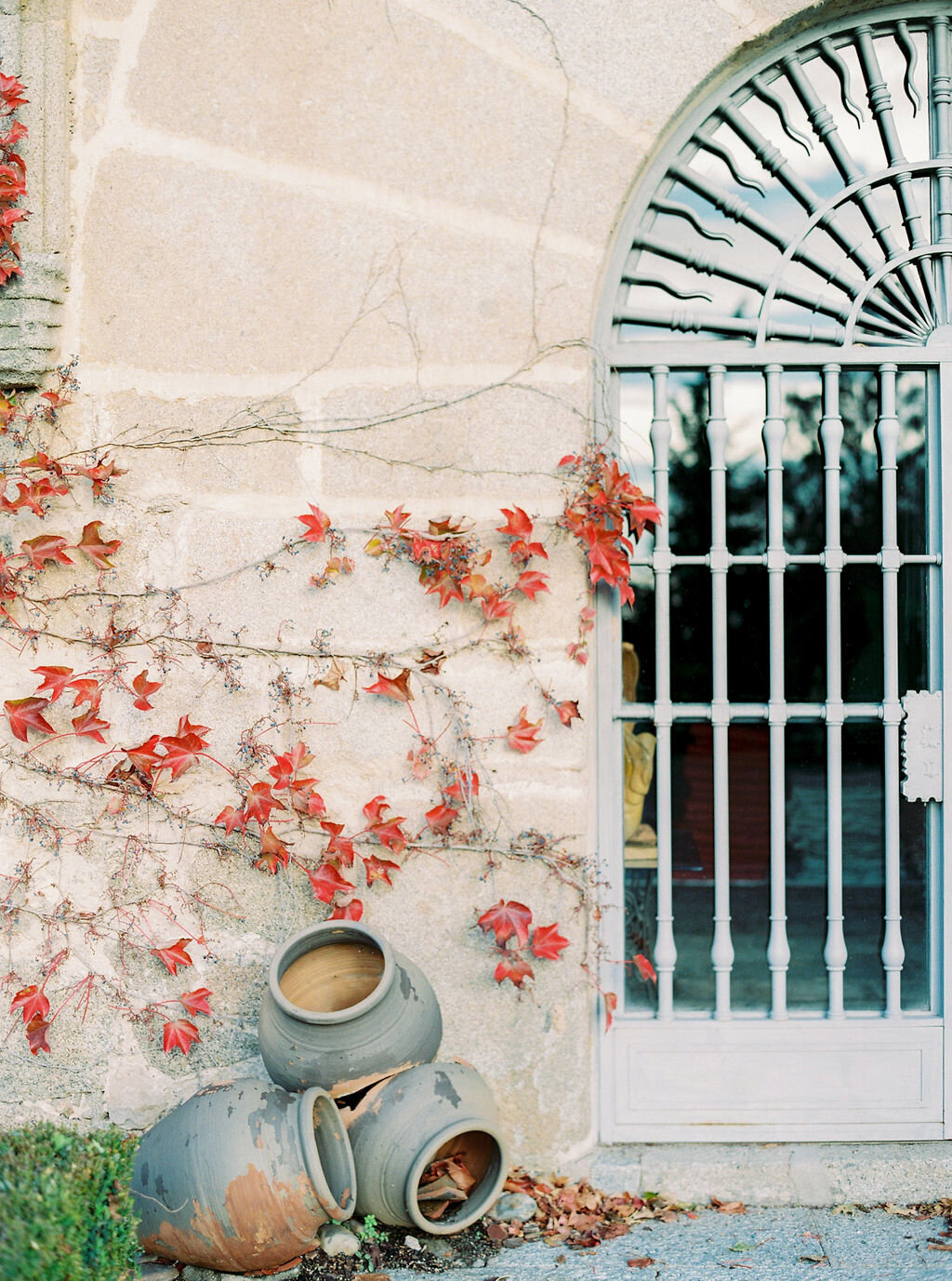 Masha_Golub_Photography_(93)