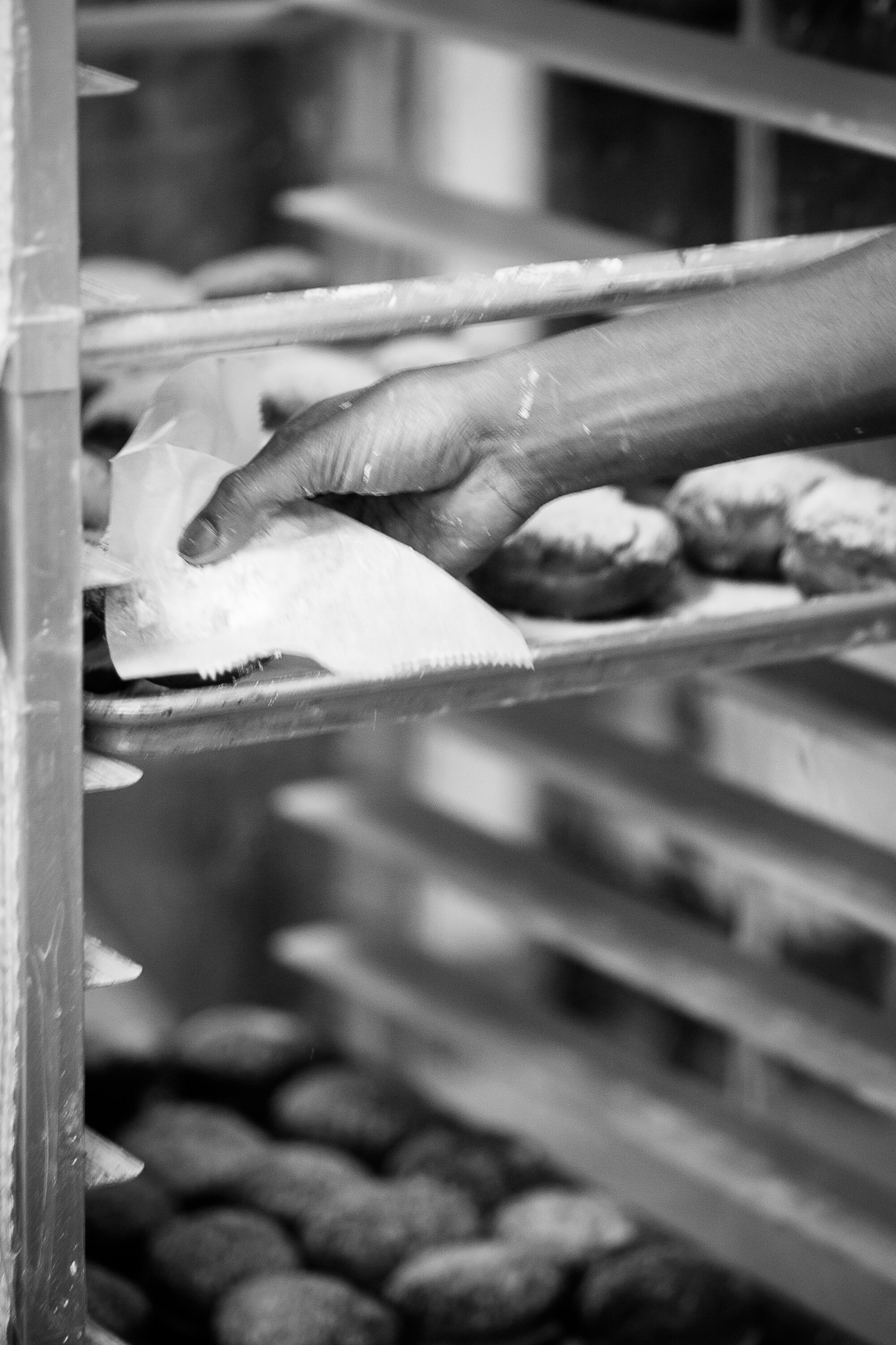 paczki19
