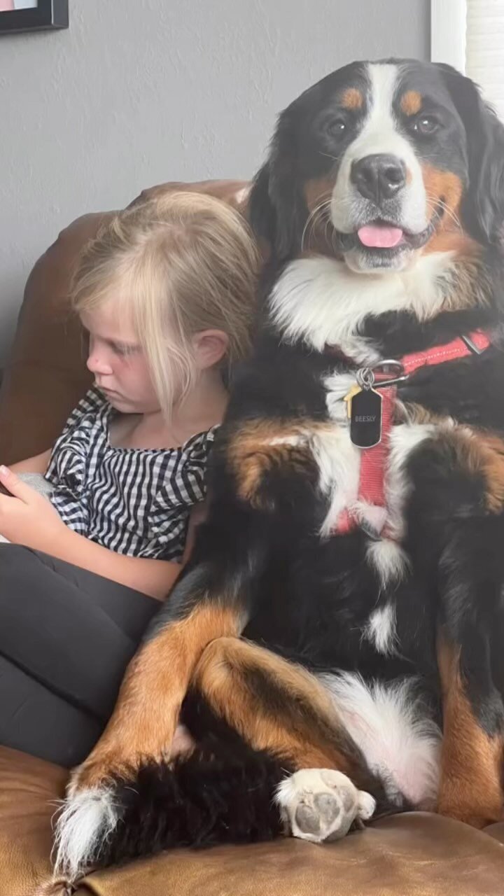 334050060_5618885591568196_8010447601396183430_n