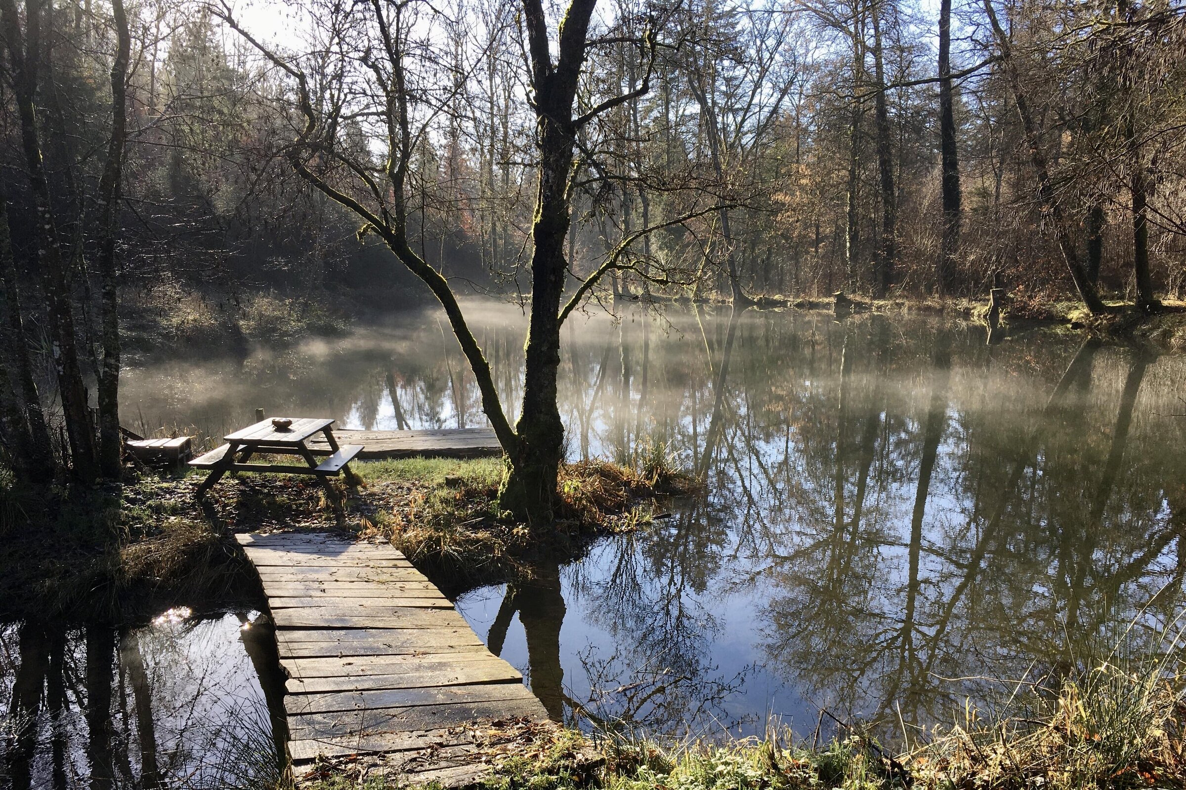 etang carillon