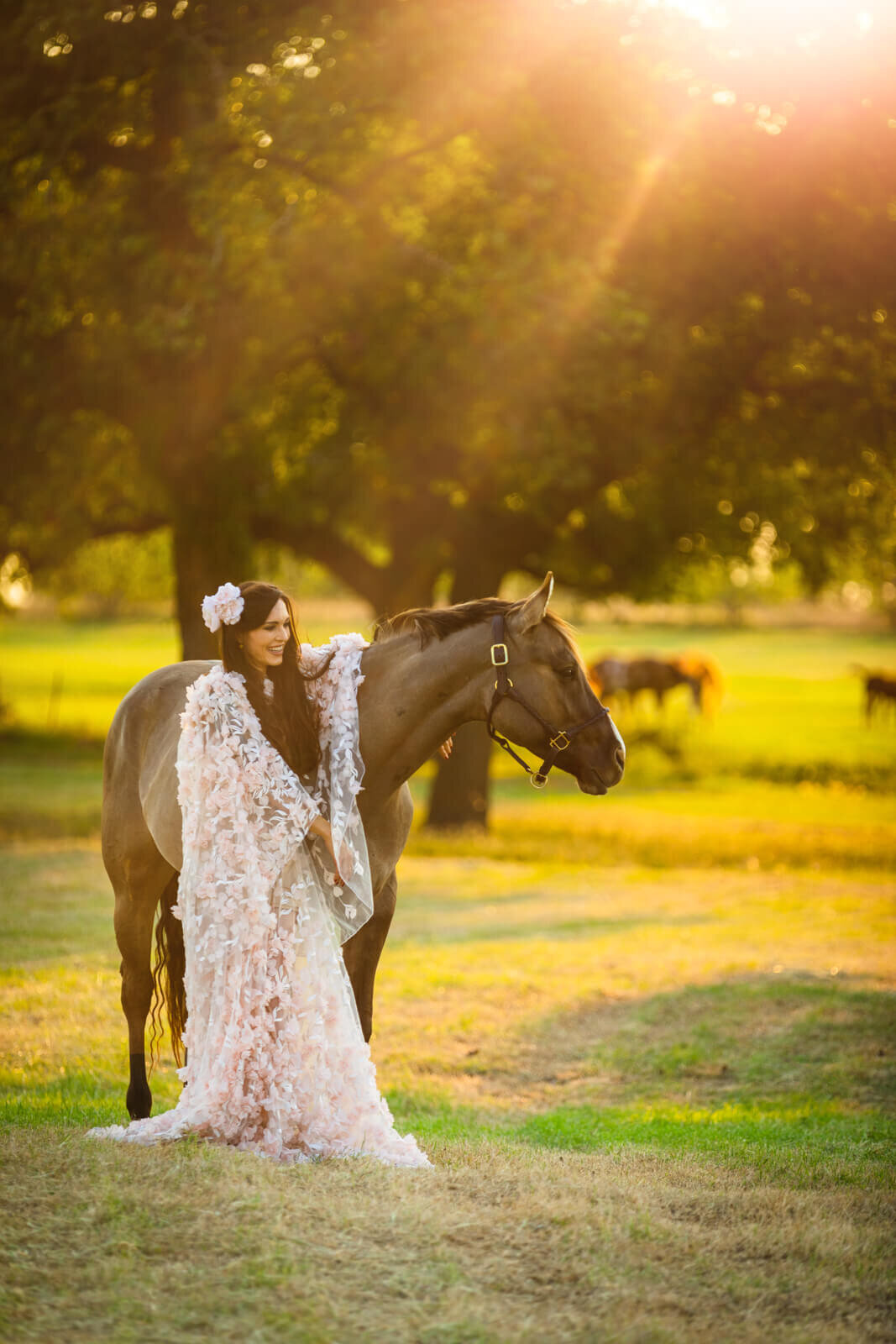 El-Paso-Texas-Horse-Photographer-036