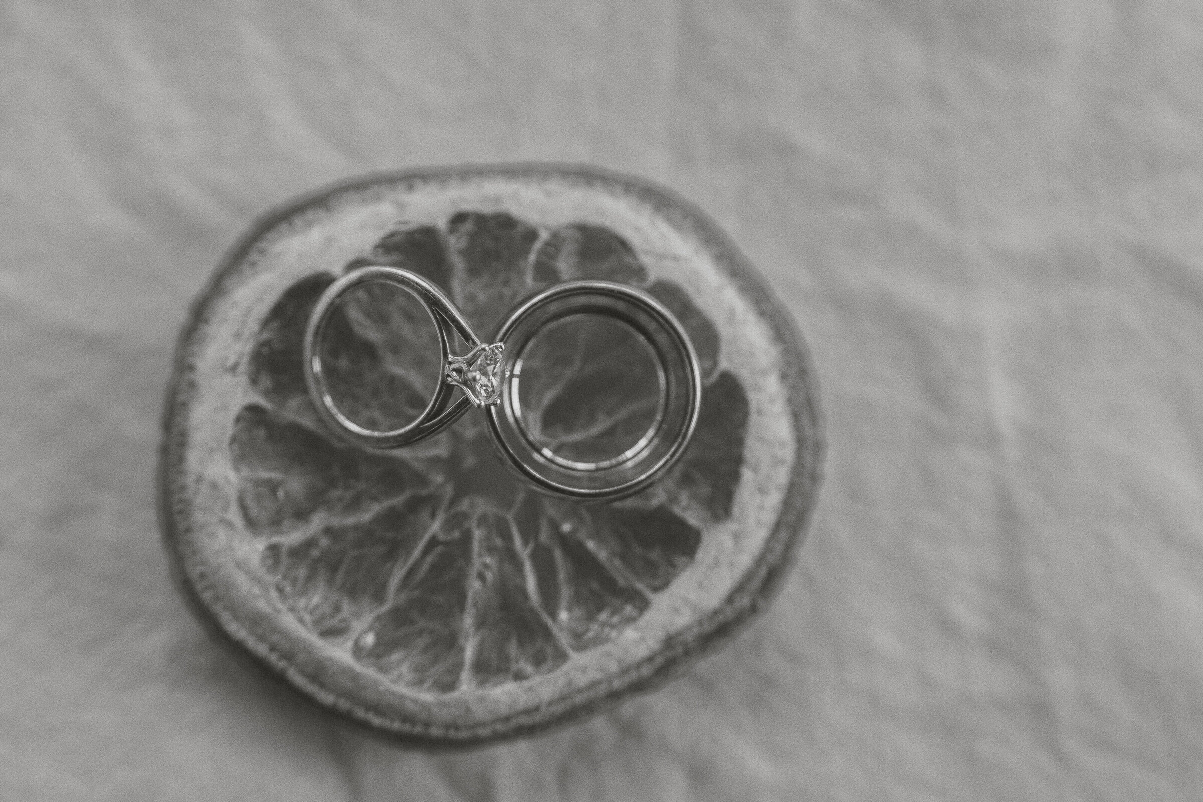 heritage-acres-wedding-FJ-vancouver-island-details-4900167-BW