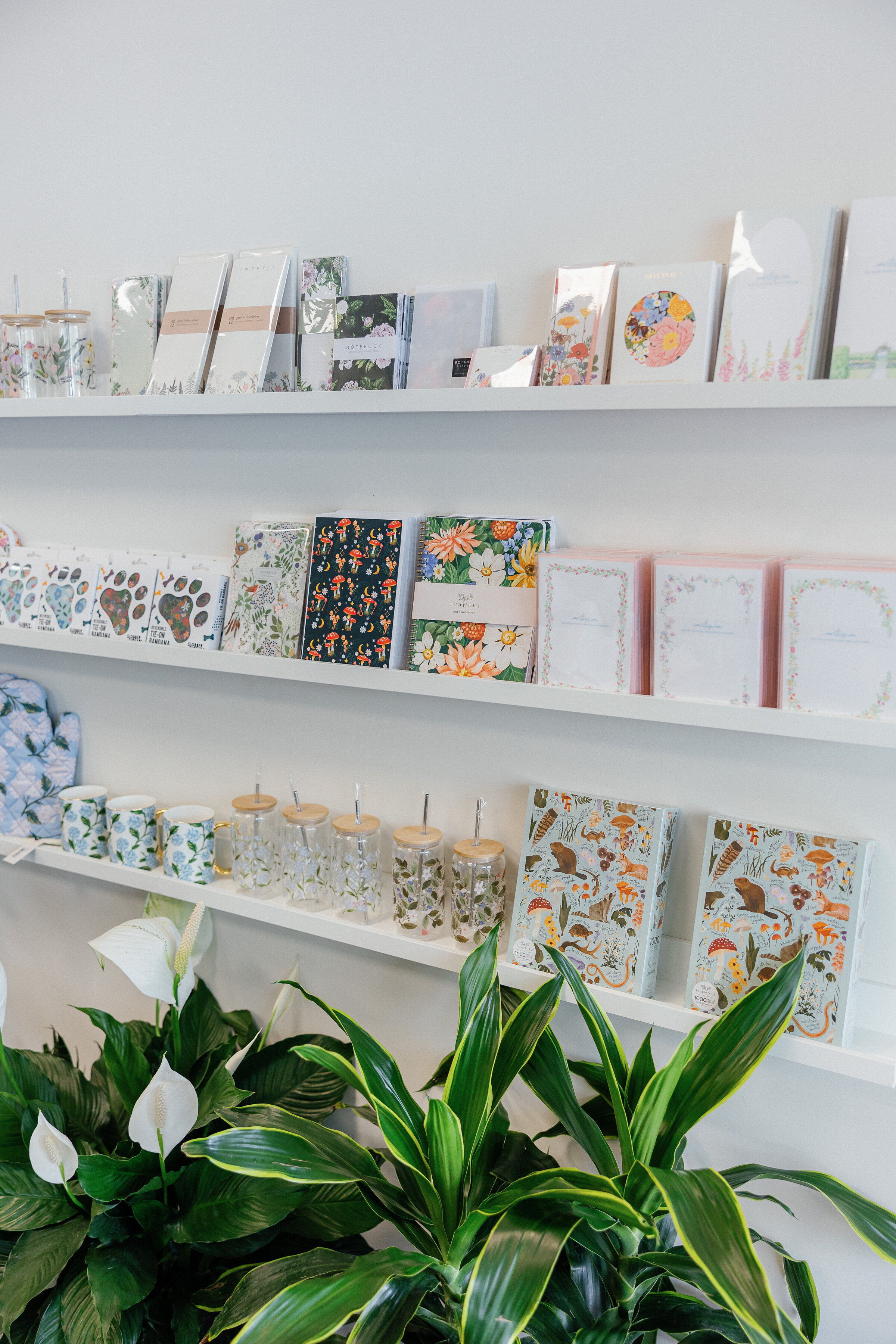 botanique cape cod florist branding session