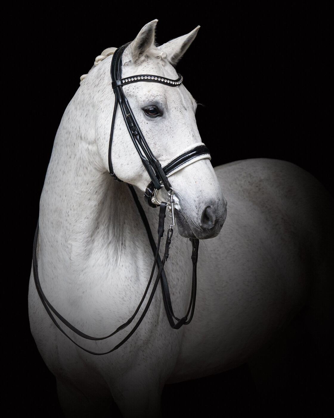 ACP03823-Edit