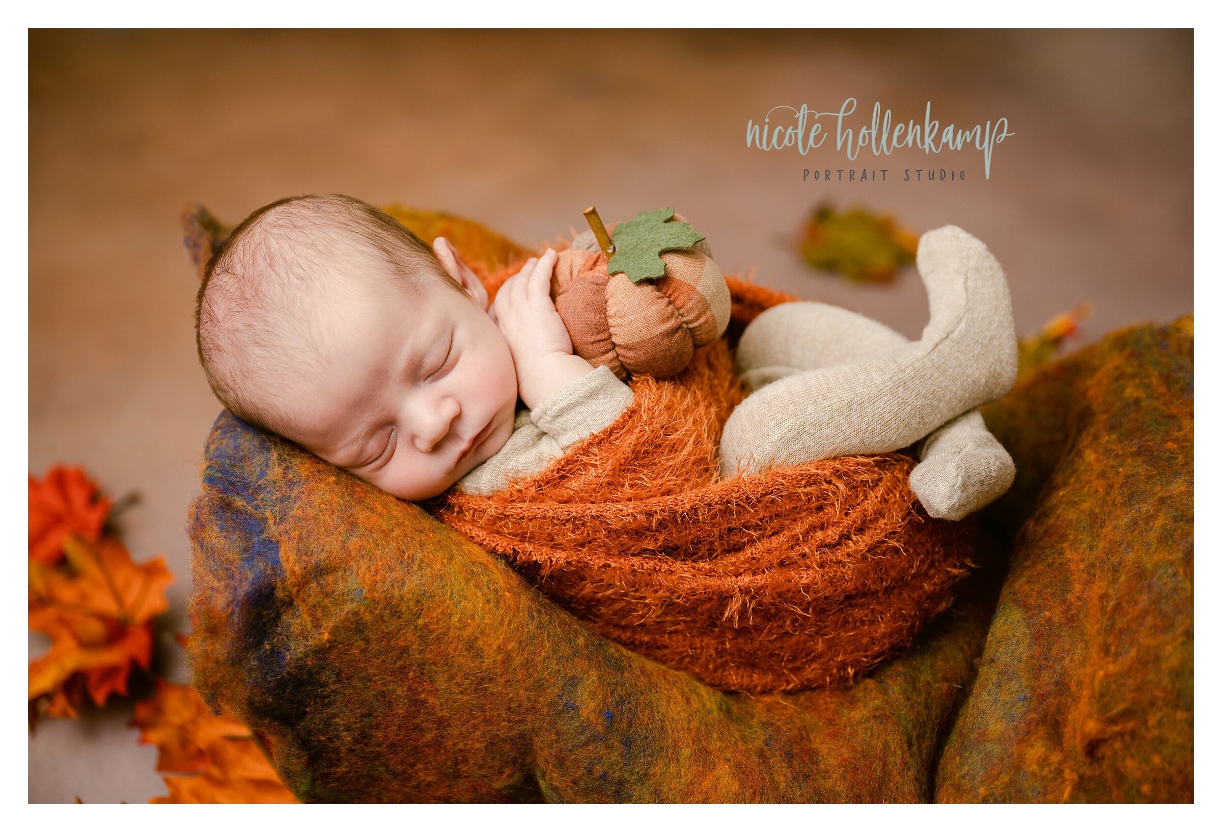 Fall These Newborn Portraits in Studio in Princeton MN