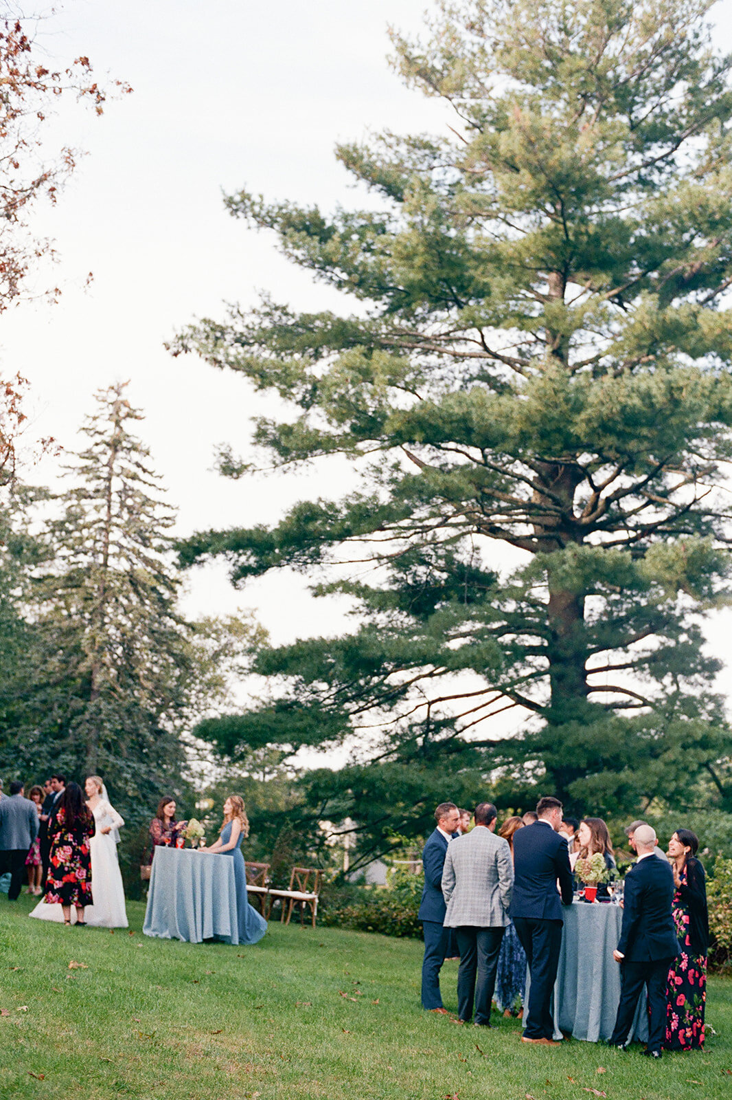 saratoga springs wedding with guests enjoying cocktail hour at sunset photographed by Julia Rebecca Photography