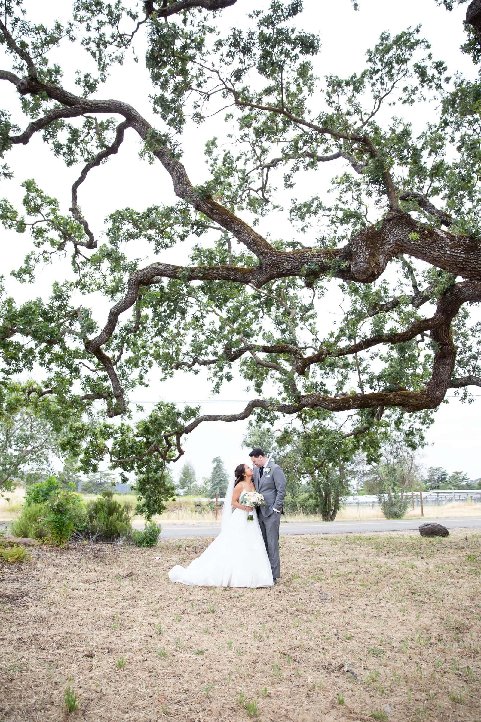 Wedding Portrait under an oak tree by Raleigh elopement photographer.