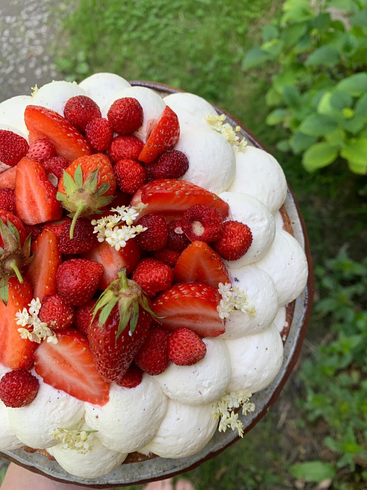 Cuisine Mimosa - fraisier