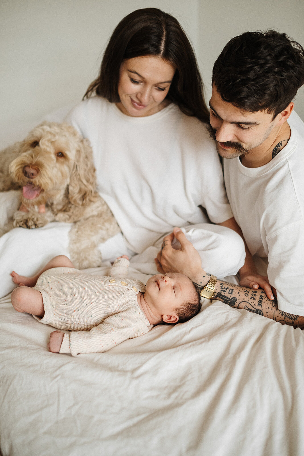 candid in-home newborn photos Elwood