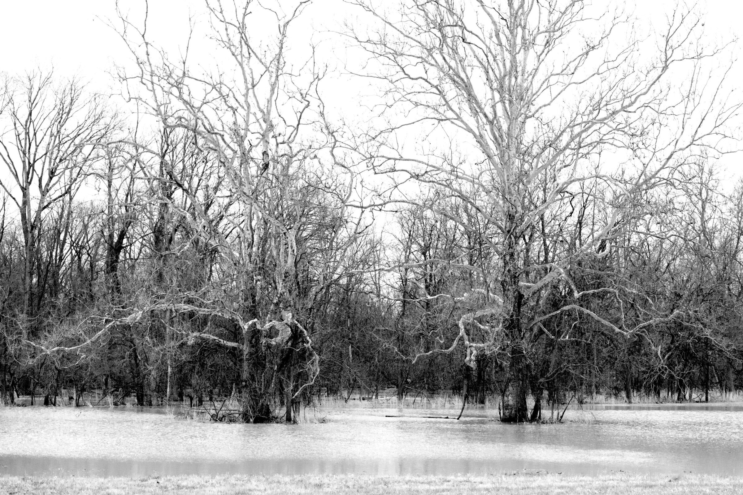 west-virginia-bw22