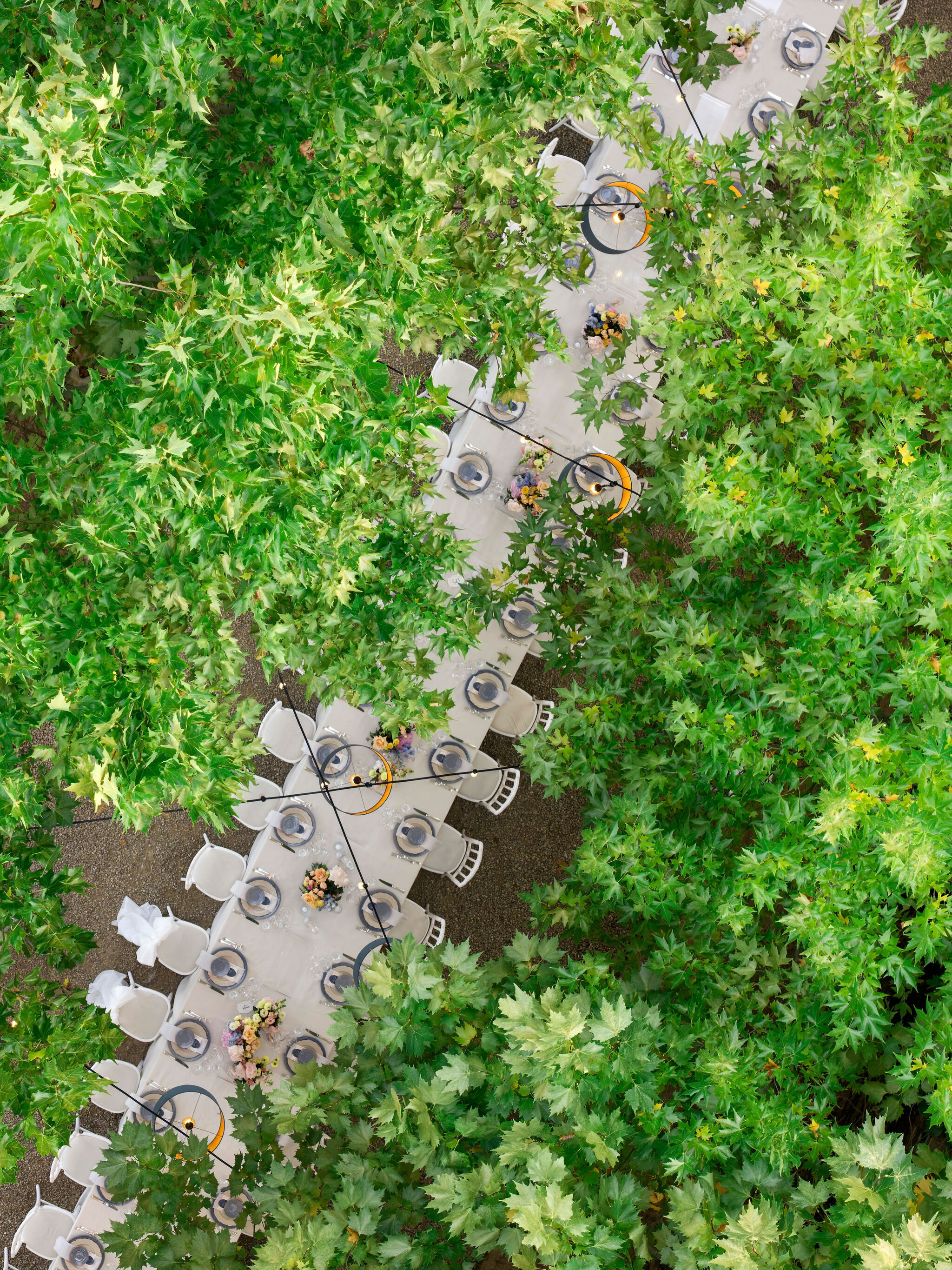 211_manuelle_robin_wedding_preview