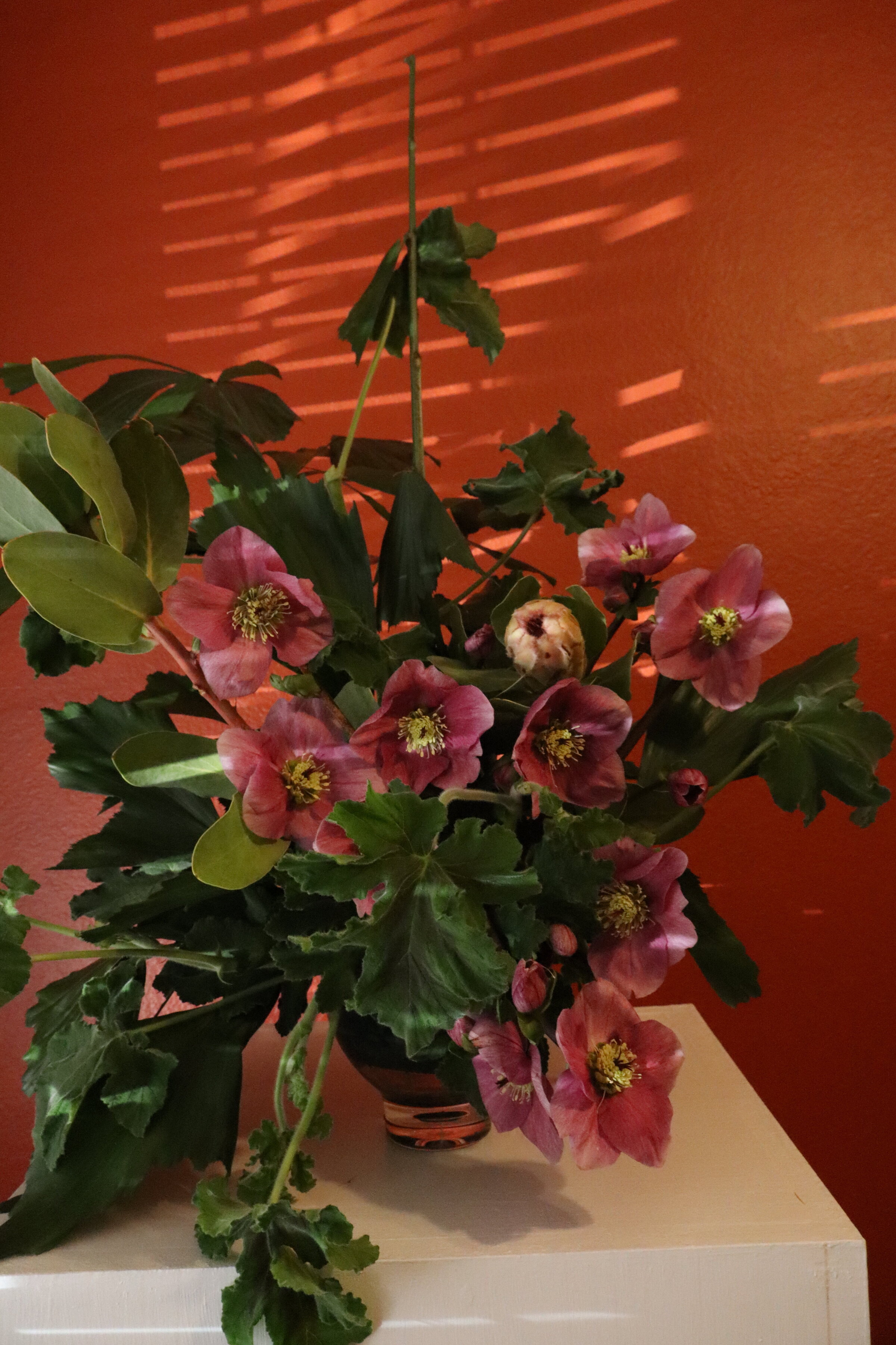 arizona-hawaiian-florist