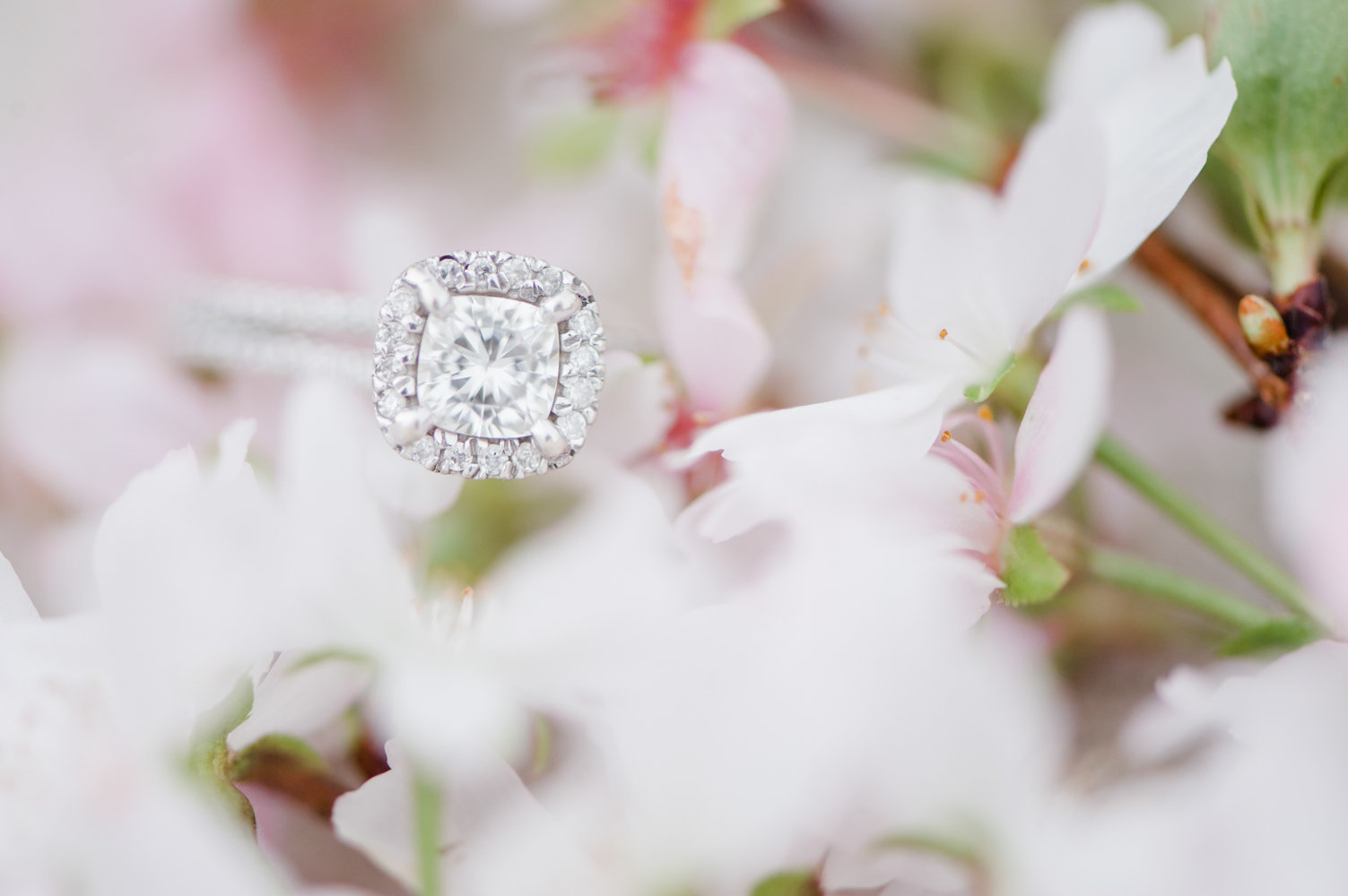 engagement-portraits-christina-forbes-photography-16