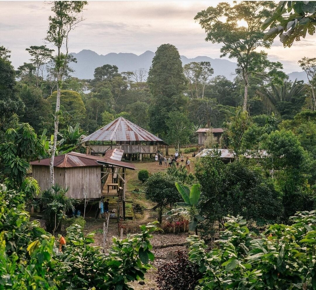 Napusamai land 2