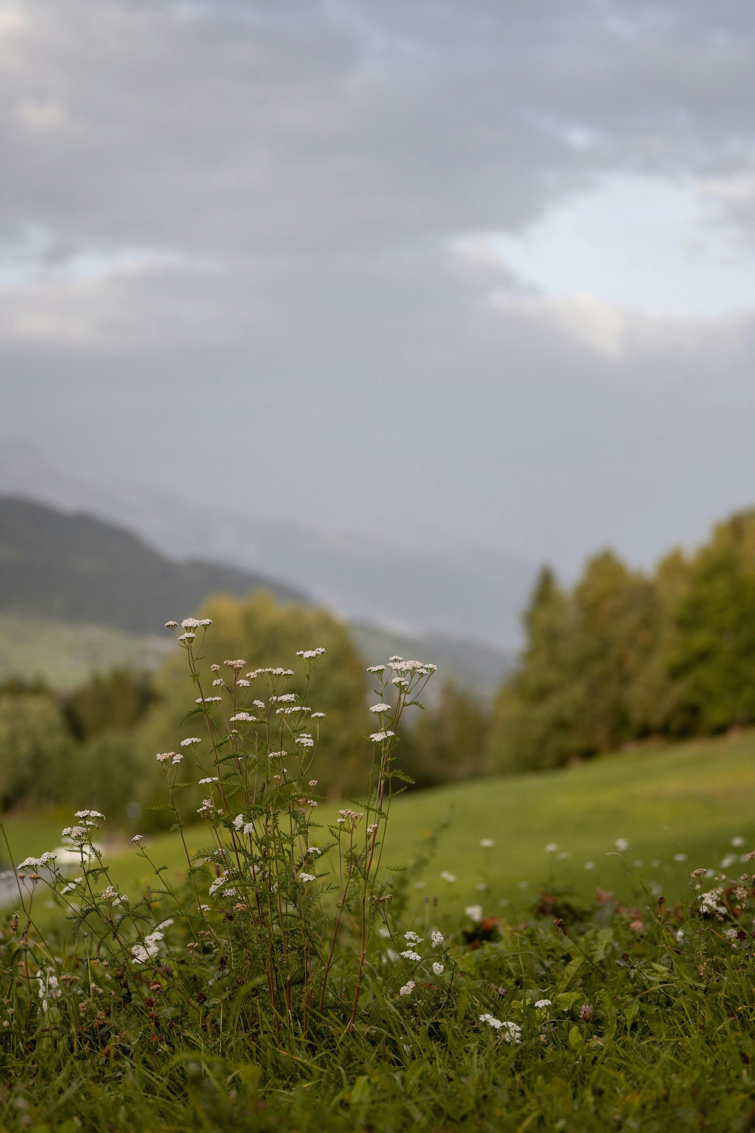 melanie-weidmann-1A1aQOpHc0s-unsplash