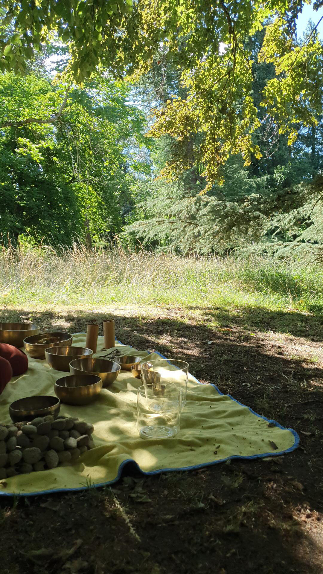 bain sonore domaine de flotin loiret
