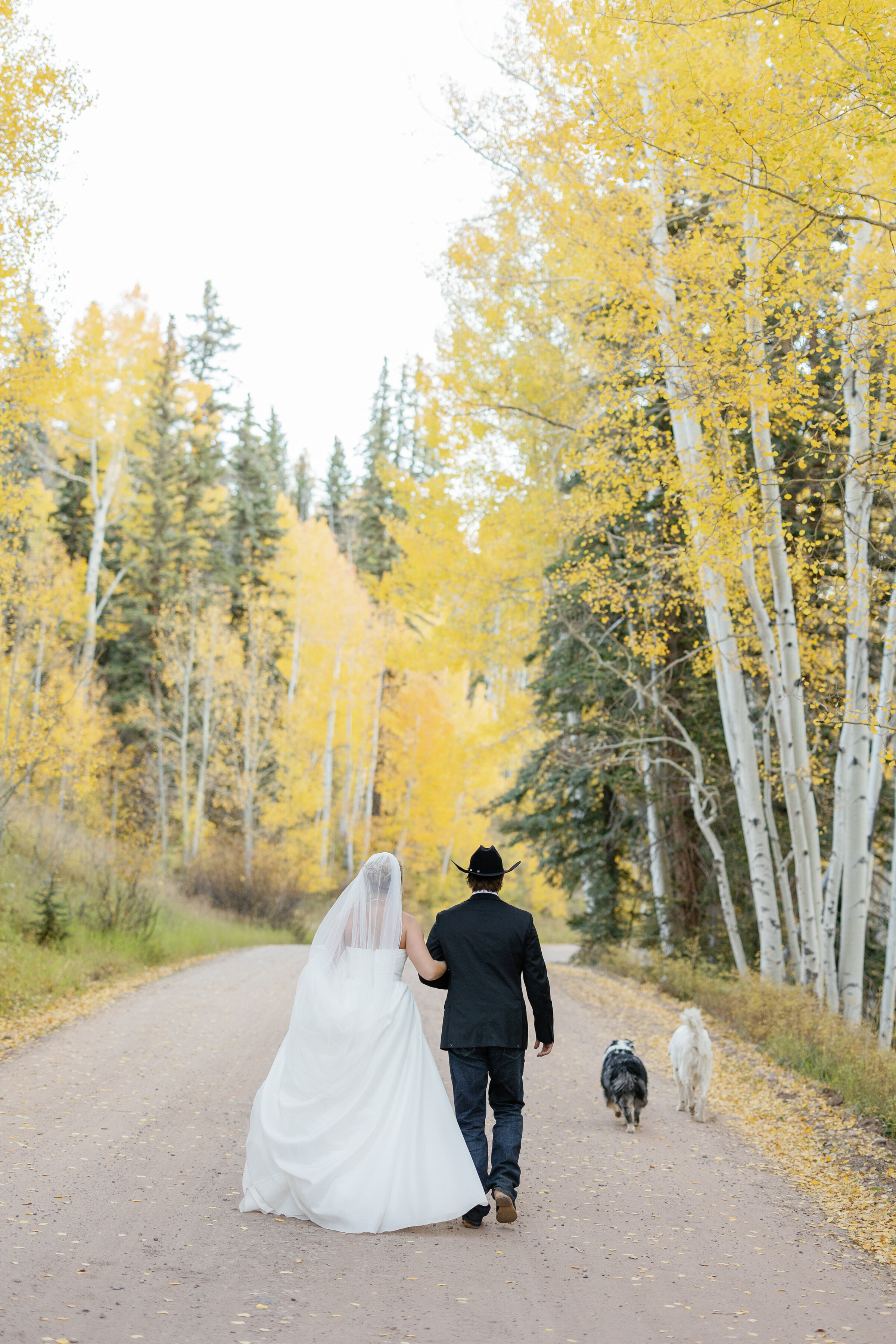 Olivia & Jared Wedding Gallery - Couple Portraits-124