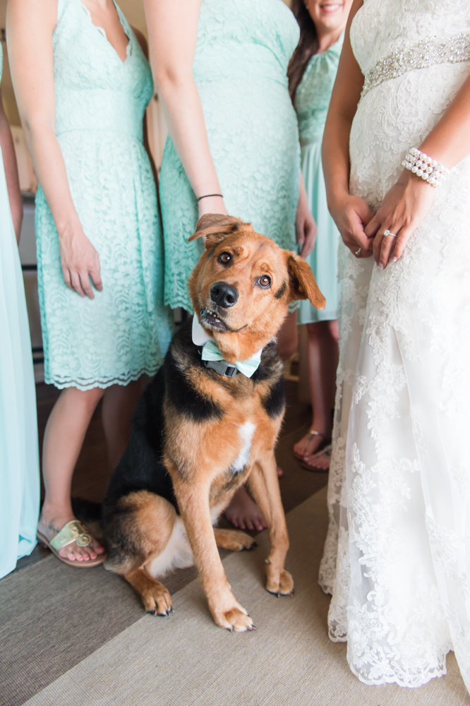 wedding-christina-forbes-photography-45