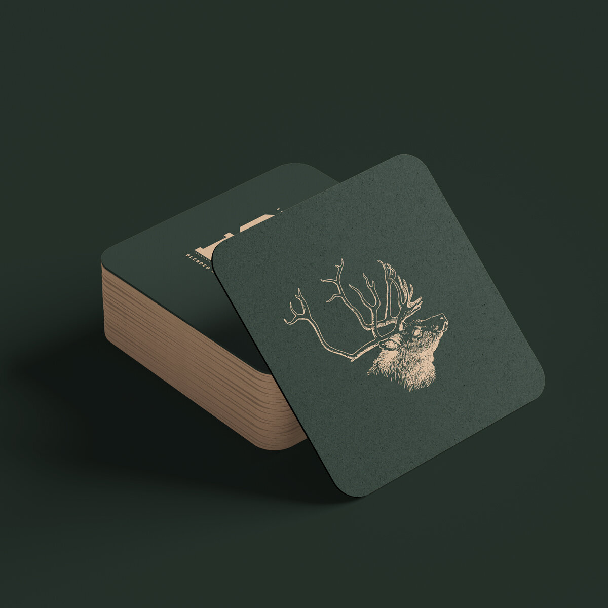 oldelkcoaster