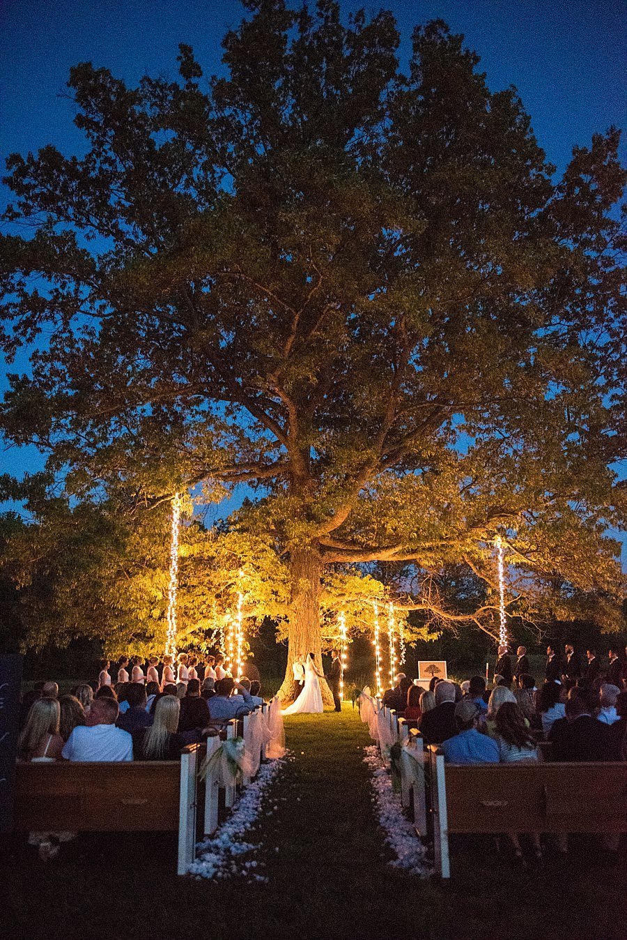 Night ceremony under a large historic tree with lights hanging from the limbs