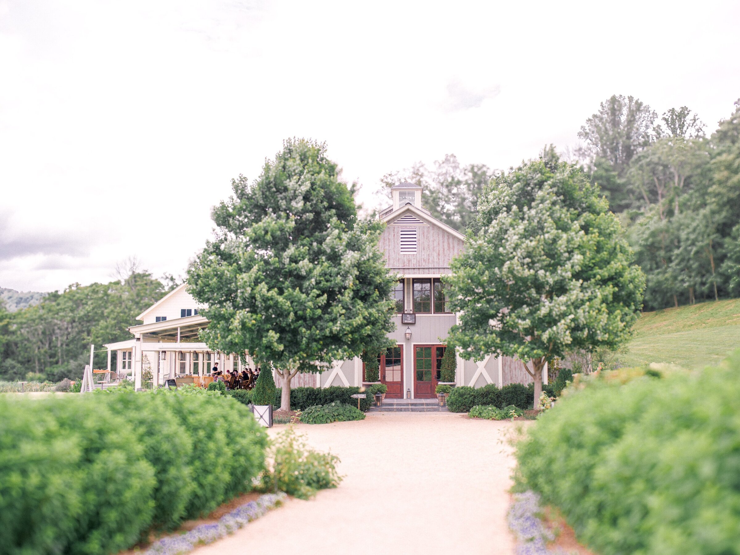 Pippin Hill Wedding Charlottesville Virginia Photographer_18