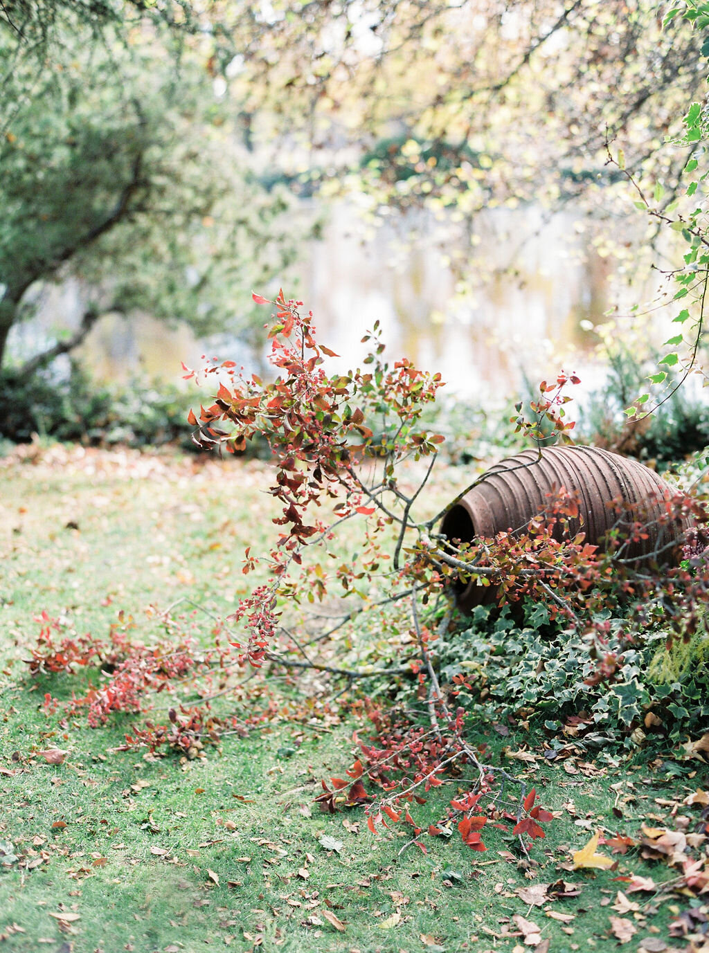 Masha_Golub_Photography_(5)