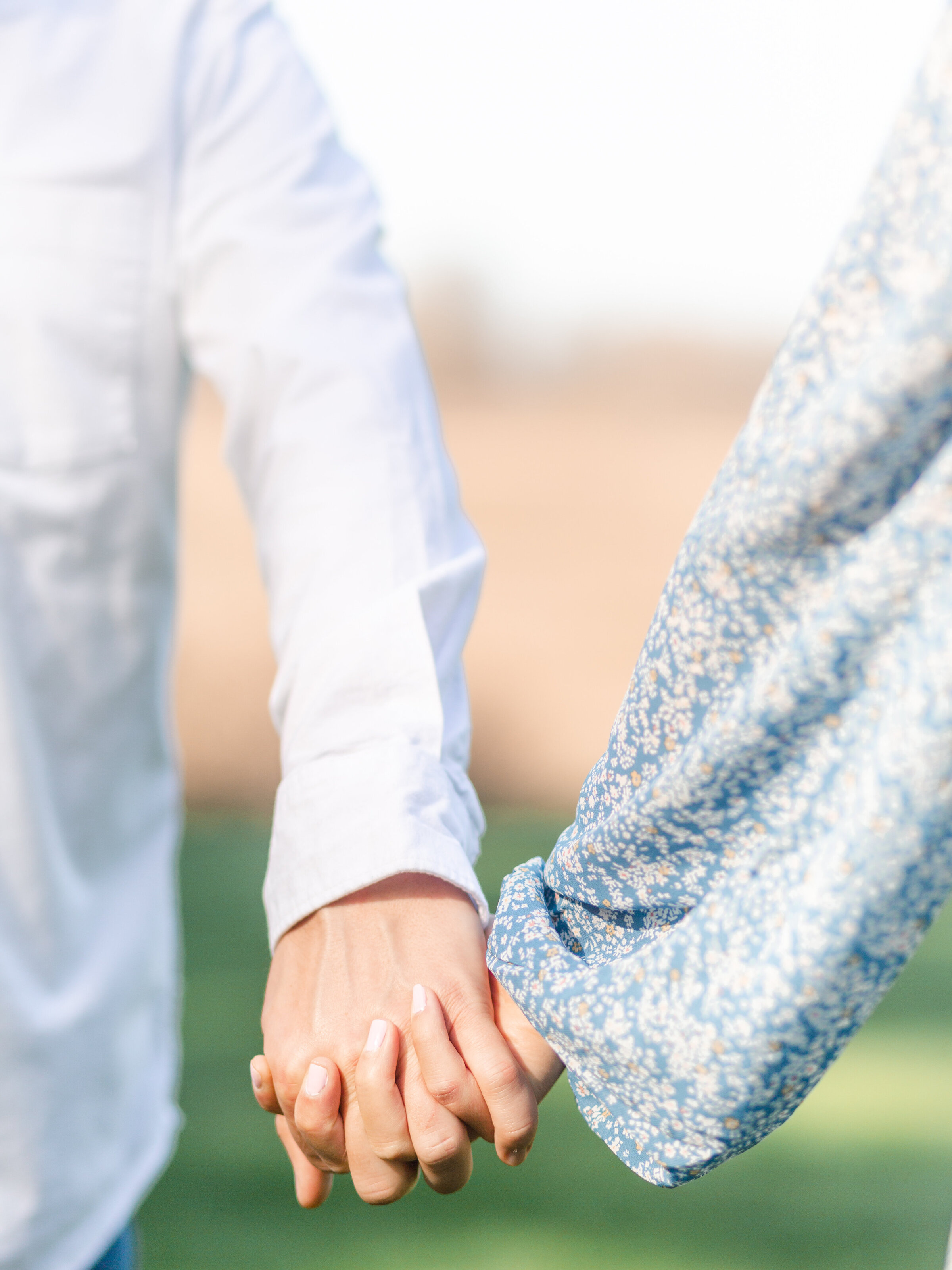 Meg+Darren_Longwood Gardens_Engagement Session_Photo_Clear Sky Images-56