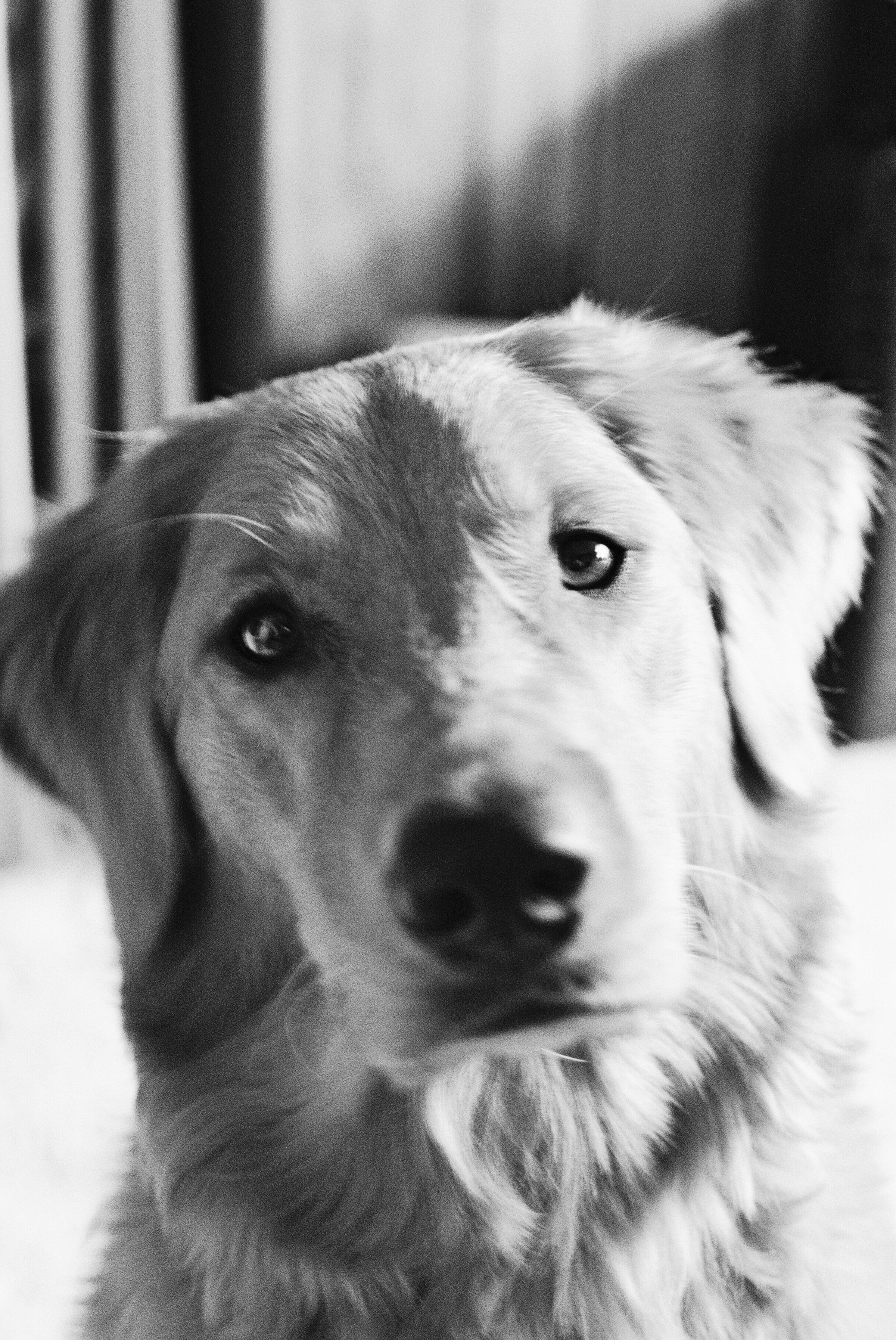 mikaylacphotos-