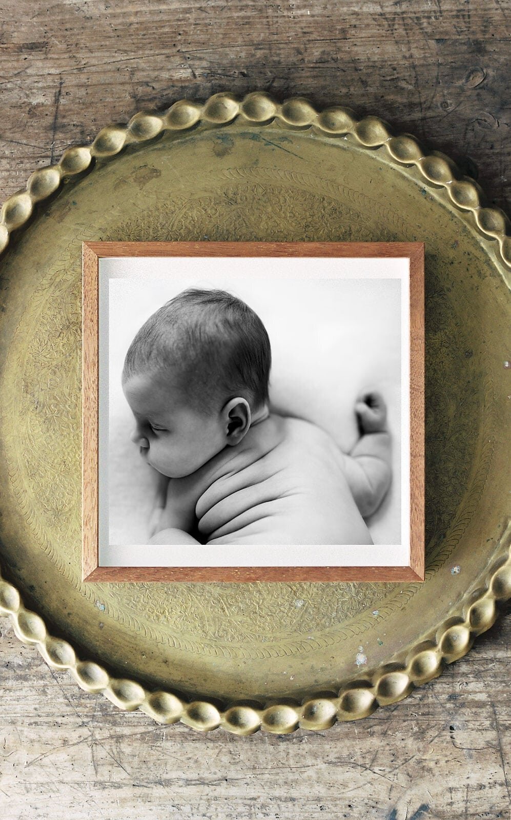 Fremantle Newborn Photographer little rolls in framed display