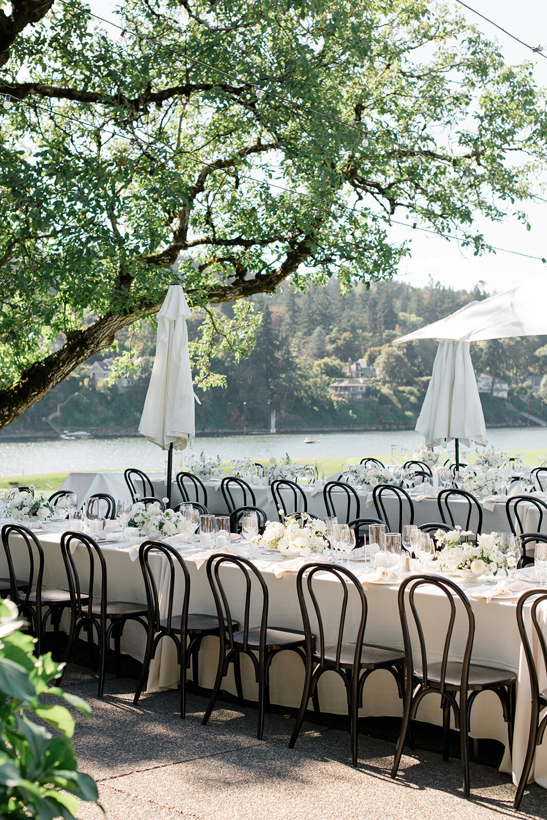 JanetLinPhotography_Meagan&Tom-Wedding-544 (1)