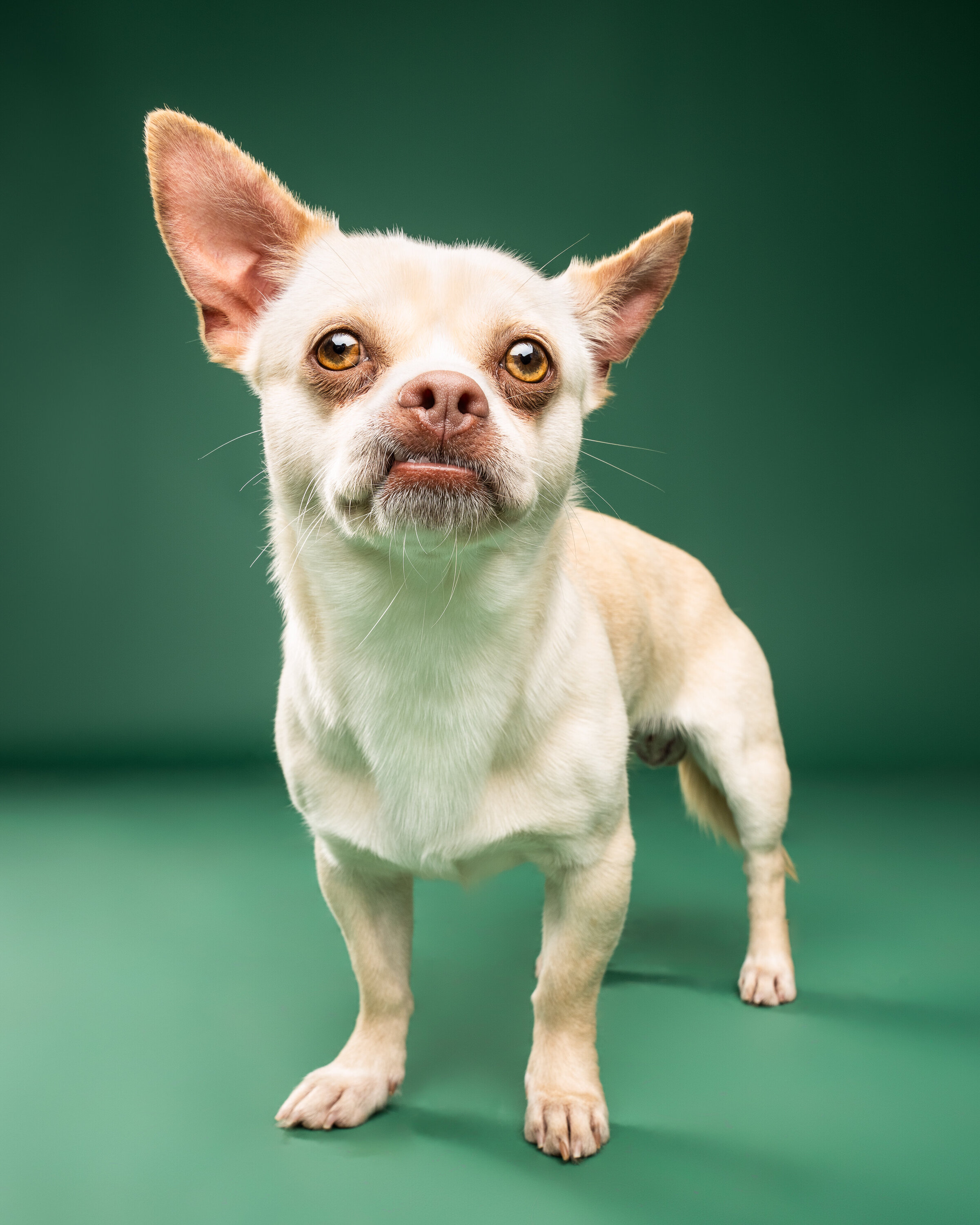 Website3500-DSC03218