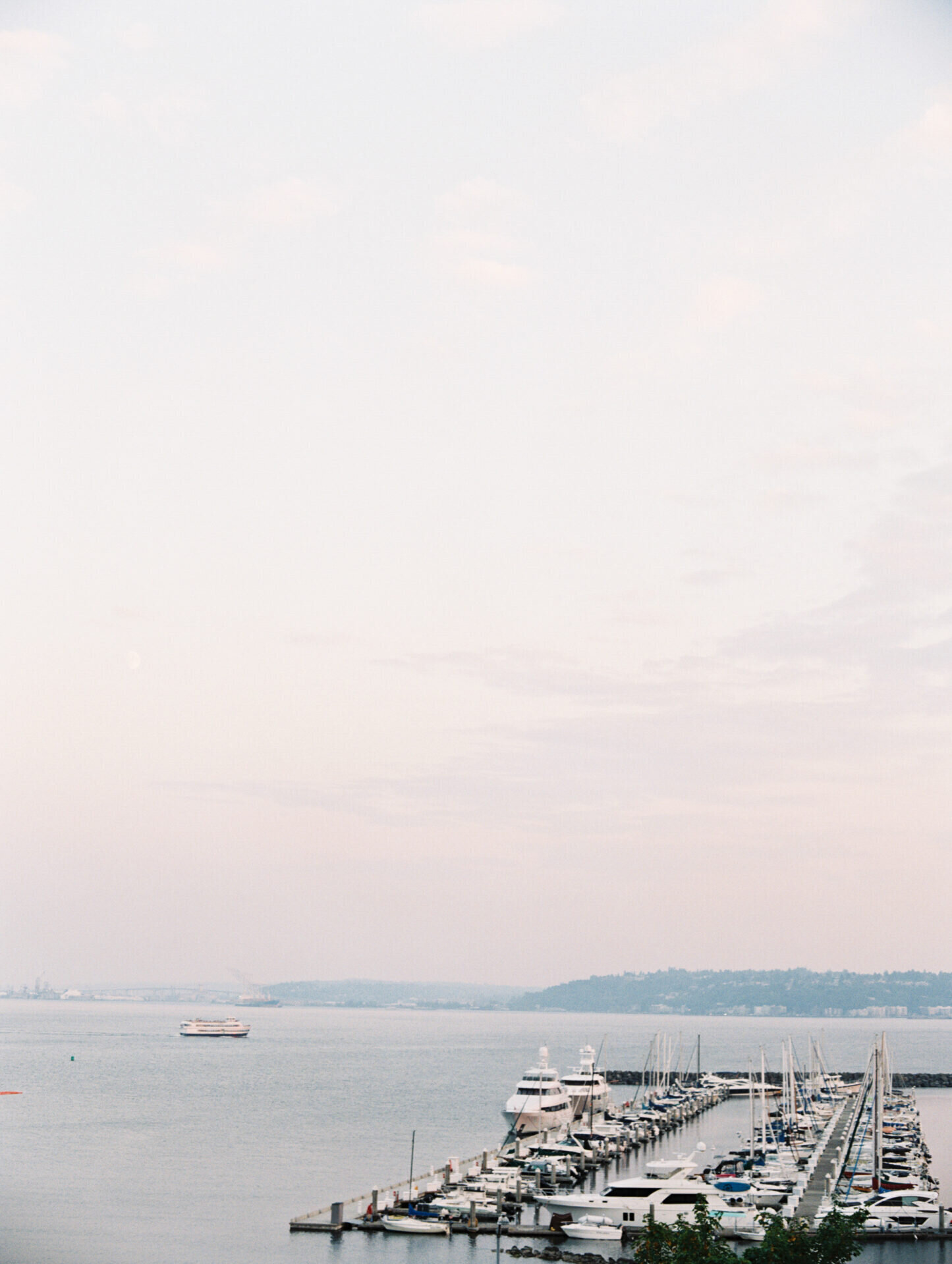boats at a marina on the puget sound