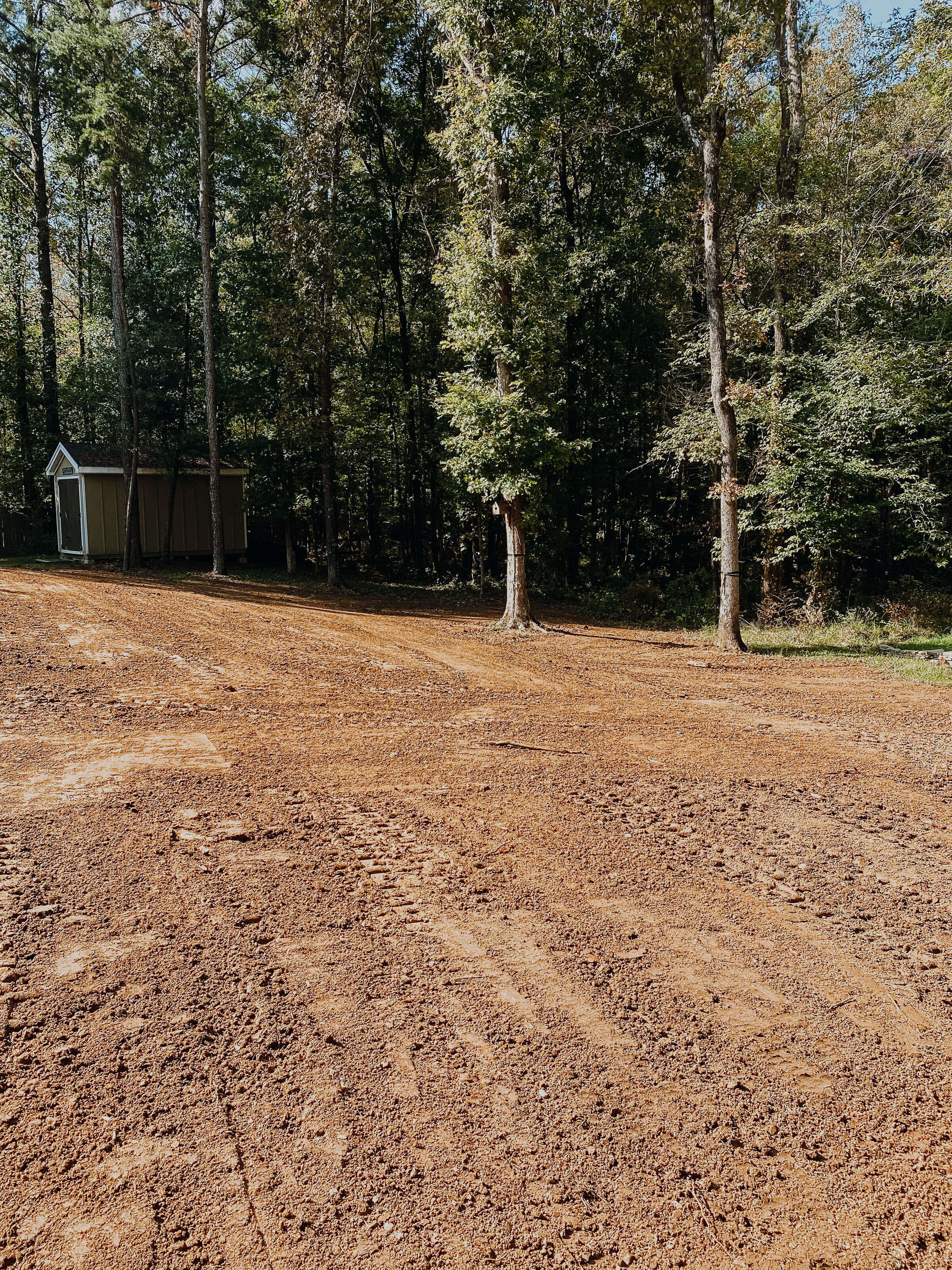 tire-tracks-on-dirt-ground-in-front-of-treeline